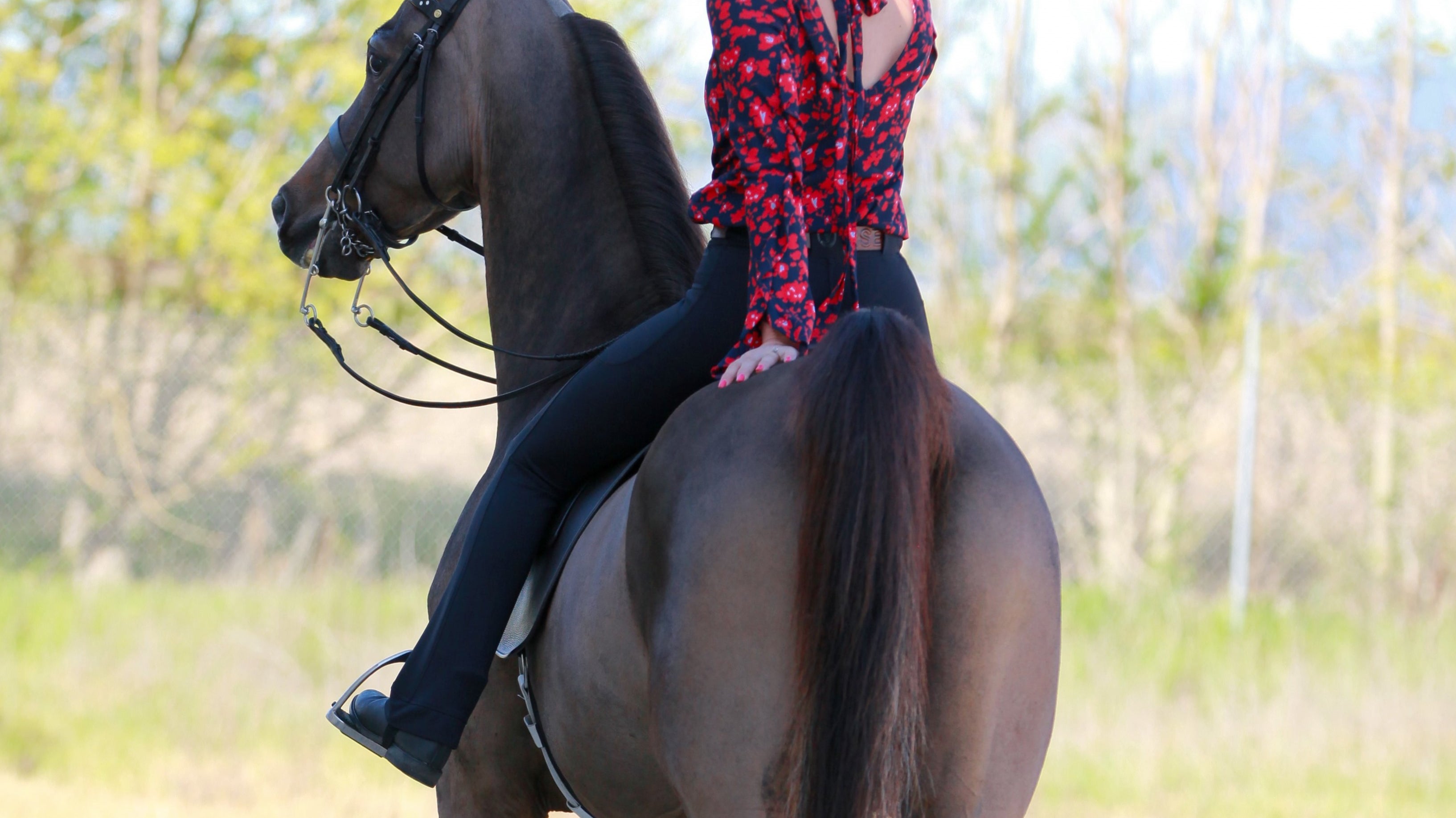 #TeamFreedmans Trainer Incentive: A Step-by-Step Process on How to Redeem Referral Credits