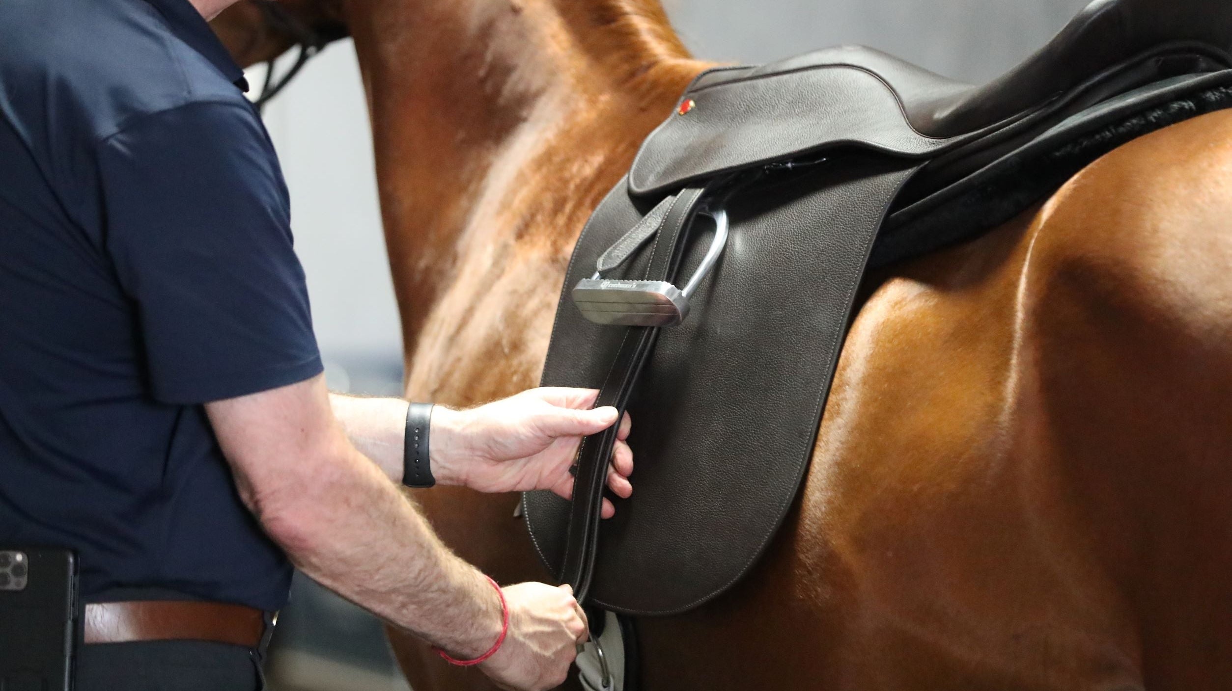 Freedman’s Saddle System: A Collection of Products Working in Concert for the Comfort of the Horse