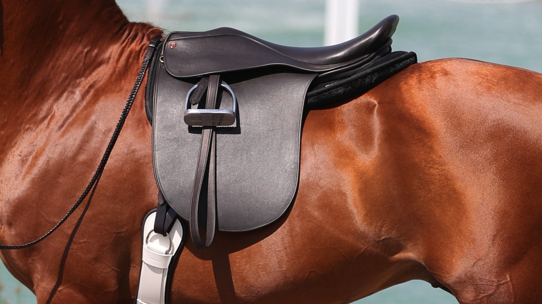 Poised for Performance – Freedman’s Stabil-Flex Girth is Ingenuity that Increases Comfort
