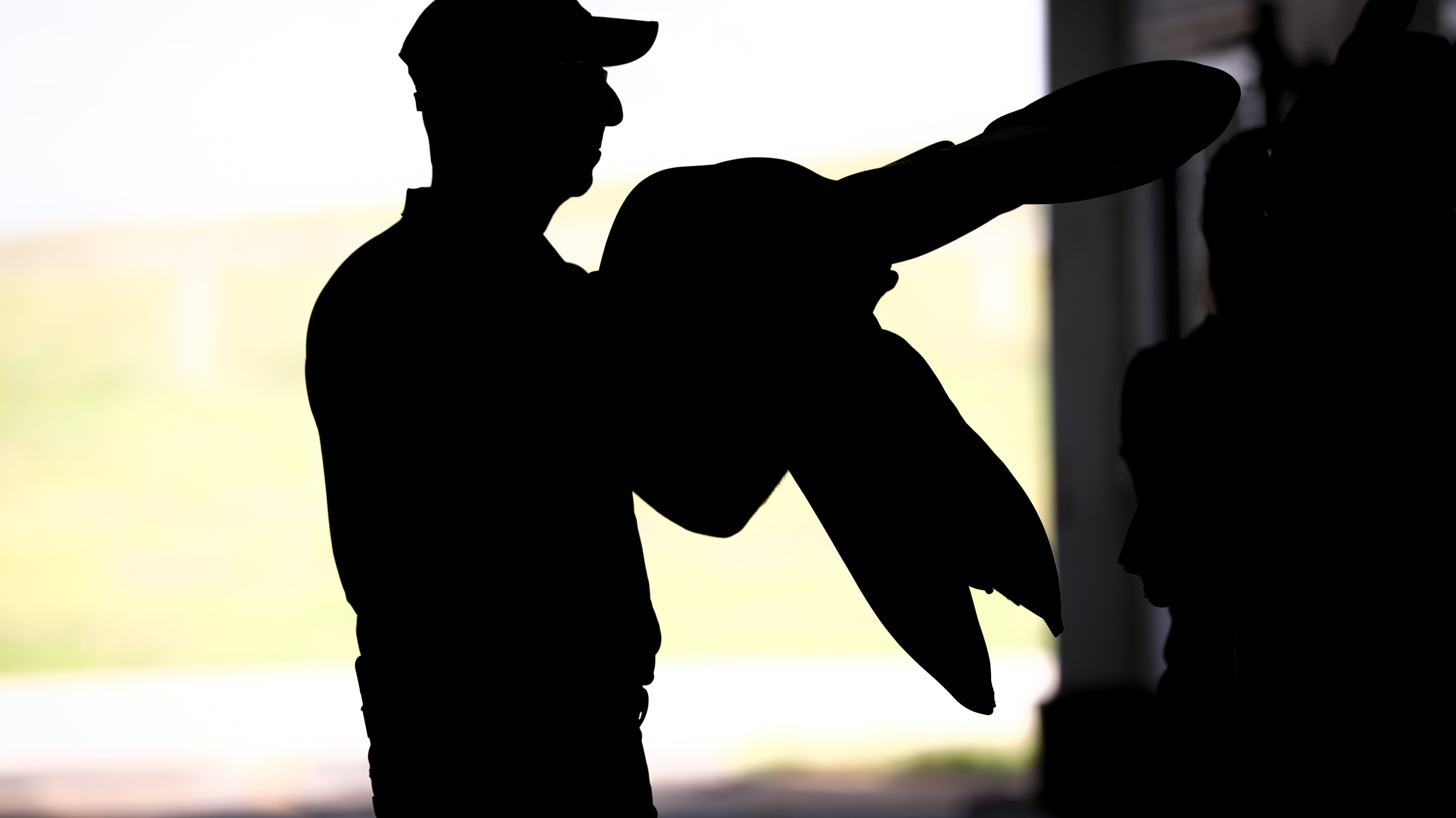 #TeamFreedmans Trainer Incentive FAQ