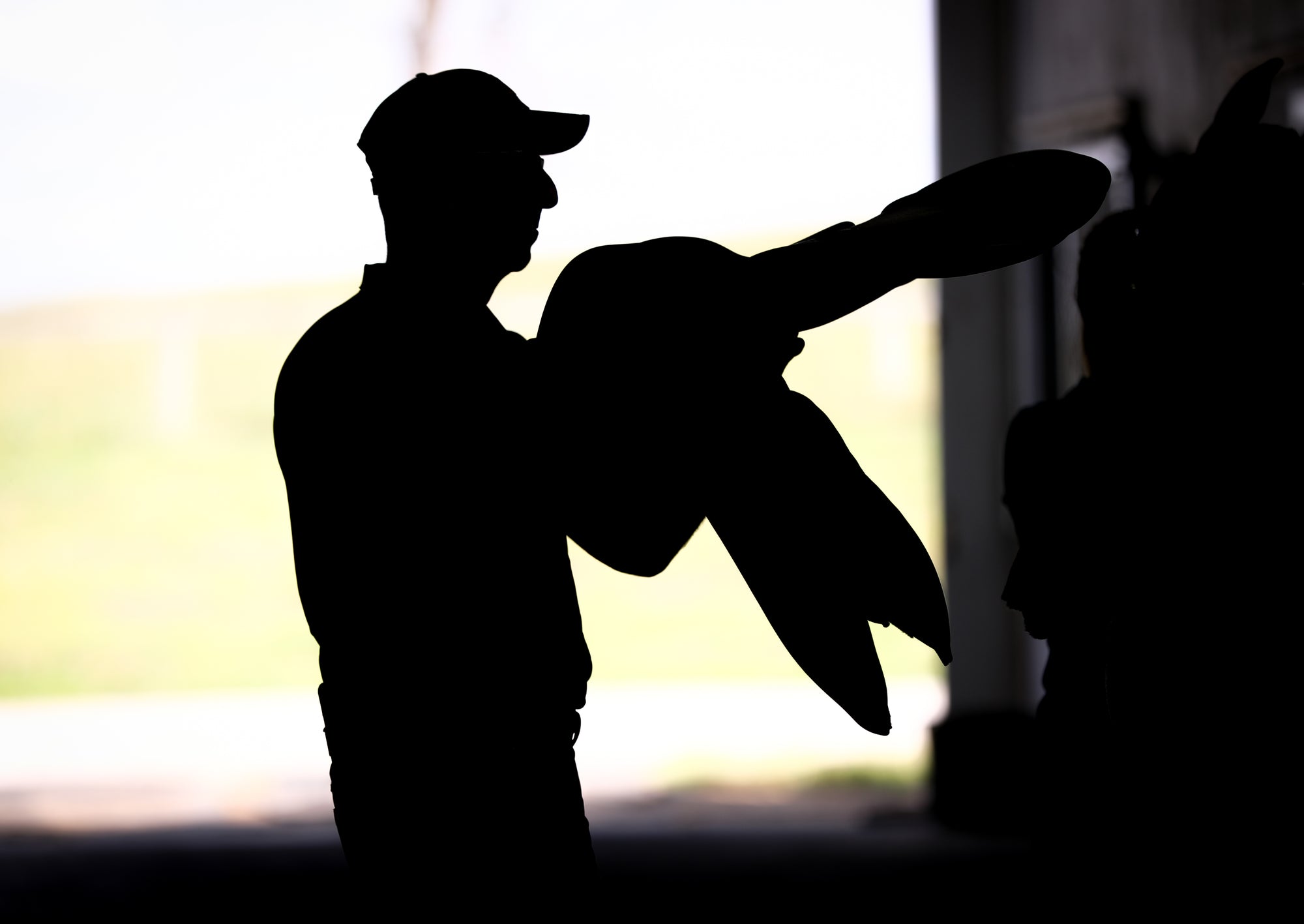 #TeamFreedmans Trainer Incentive FAQ