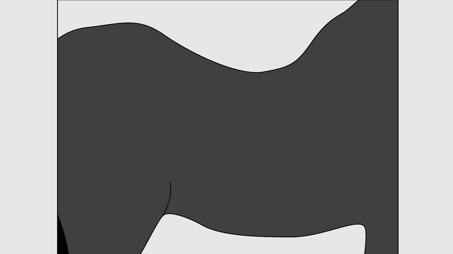 Freedman’s Low Back Memory Foam Pads: A Possible Answer for Saddle Stability on Horses with Lordosis