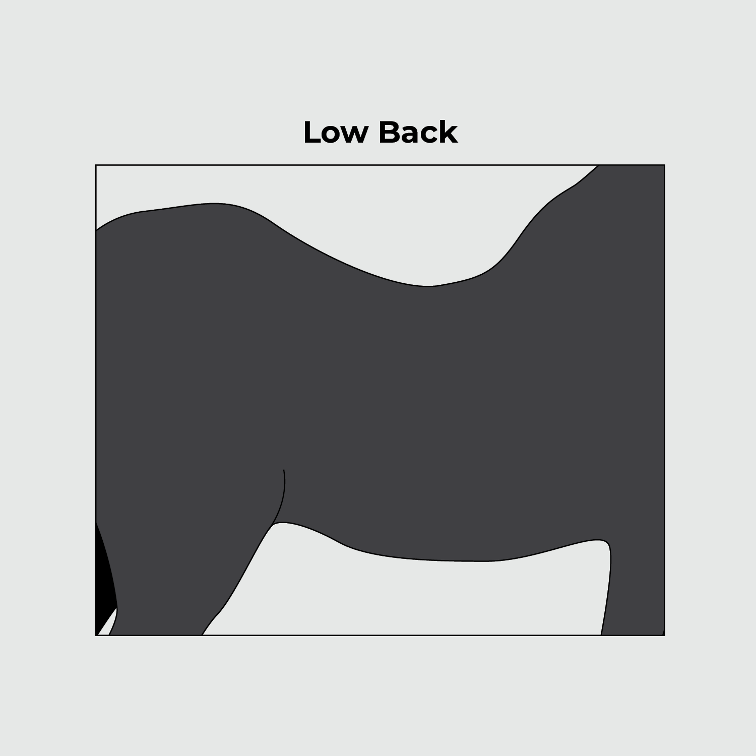 Freedman’s Low Back Memory Foam Pads: A Possible Answer for Saddle Stability on Horses with Lordosis