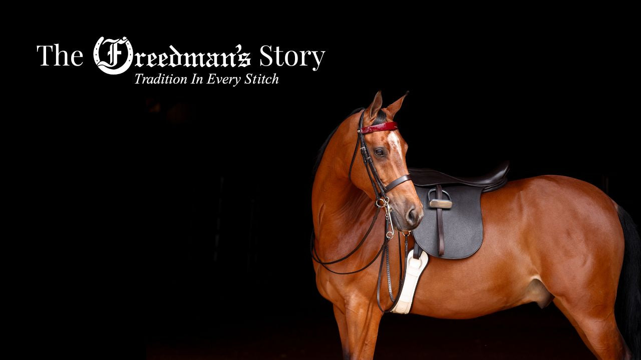 Brown horse with a black saddle on a dark background, featuring 'The Freedman's Story' logo.