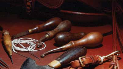 Glossary of Common Freedman’s Terminology