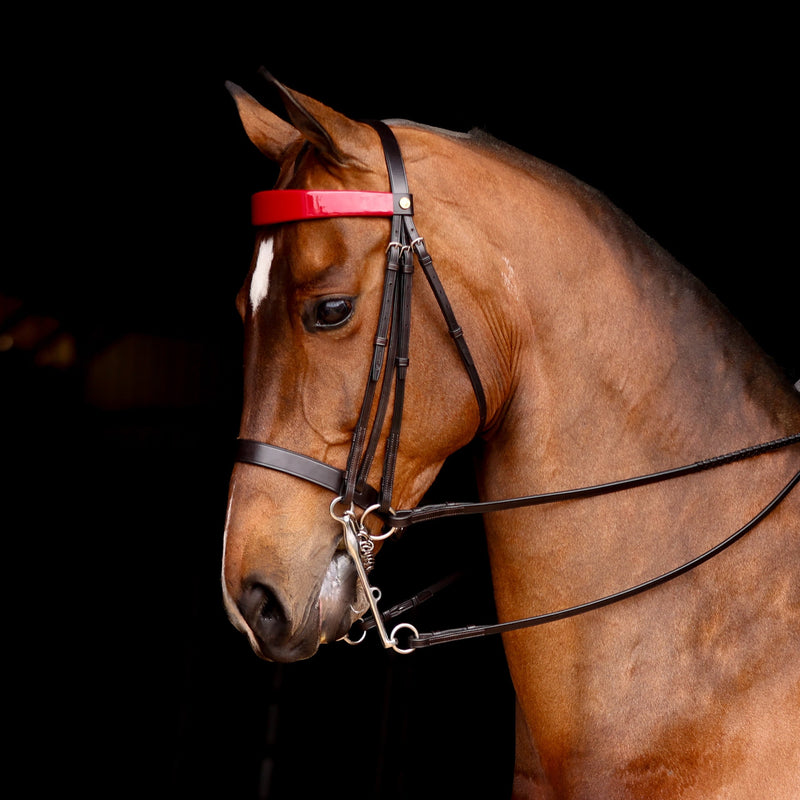 Stake Night Weymouth Double Bridle Headstall (Complete Bridle) - Set