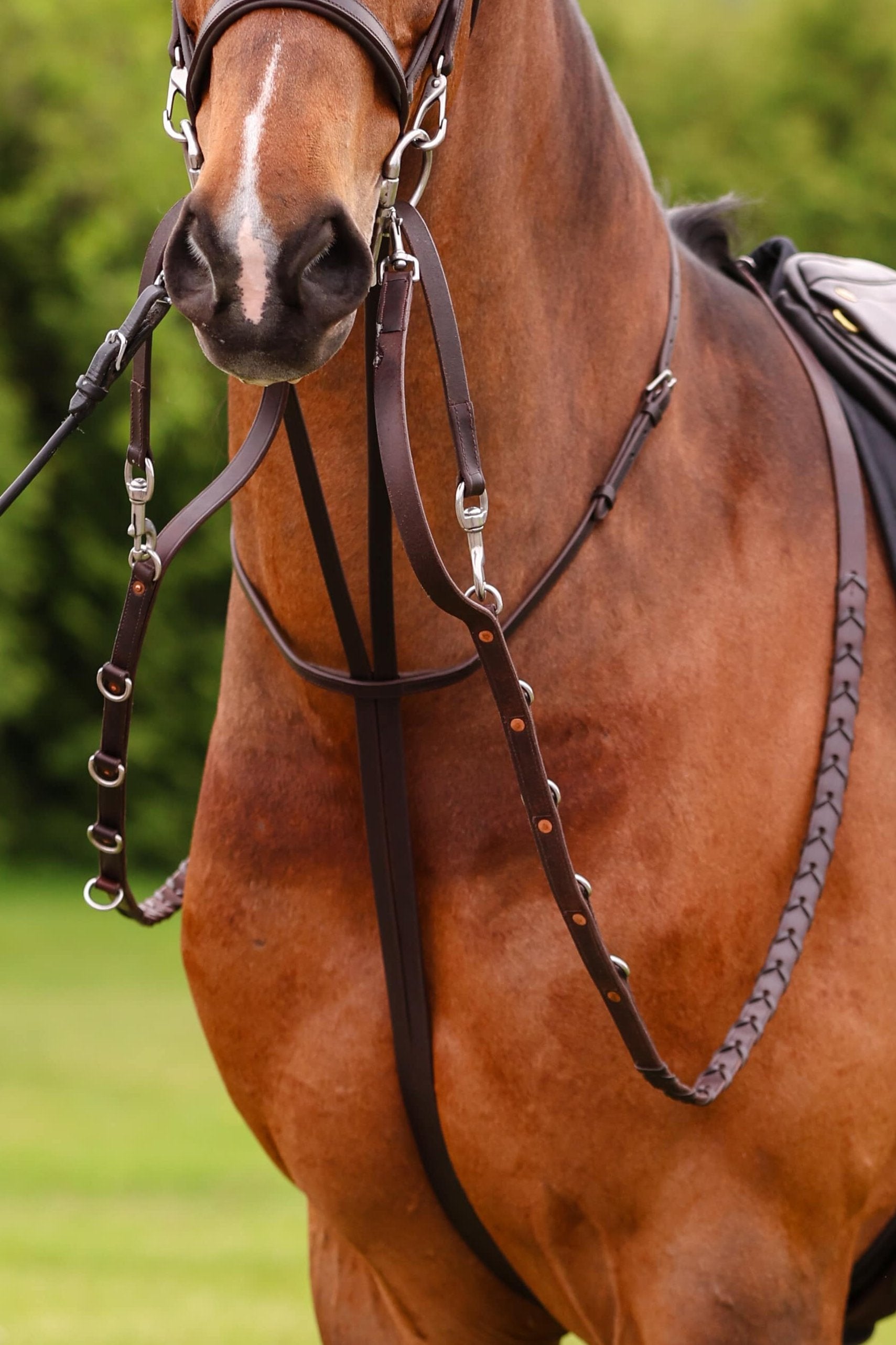 Close-up of a standing German Martingale, showcasing the brown leather construction, hardware, and braided rein detail on a horse's head.