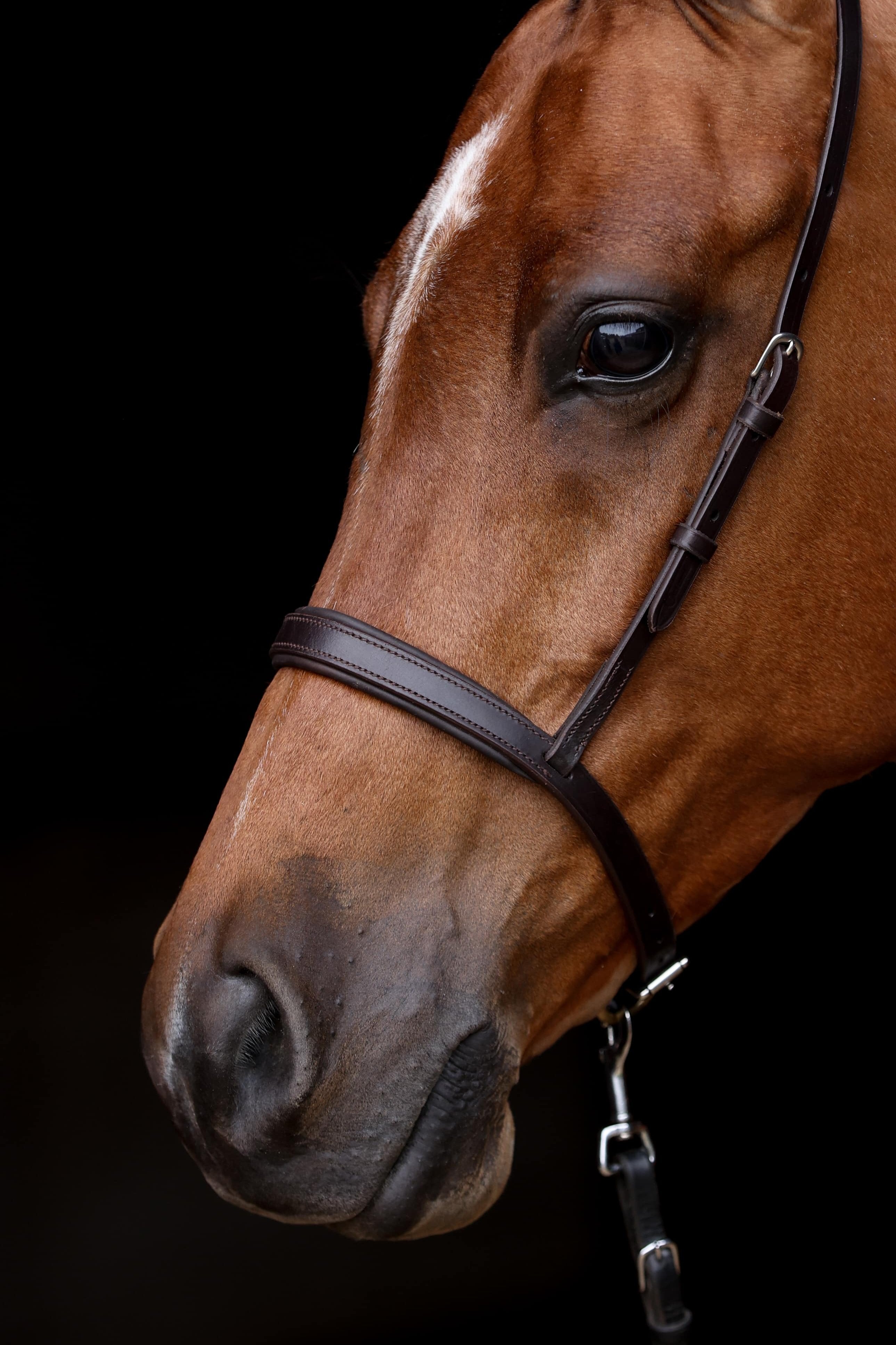 Close-up of an ACTraining Padded Caveson component, showing brown leather construction, buckles, stitching, and padding details, isolated on a dark background.