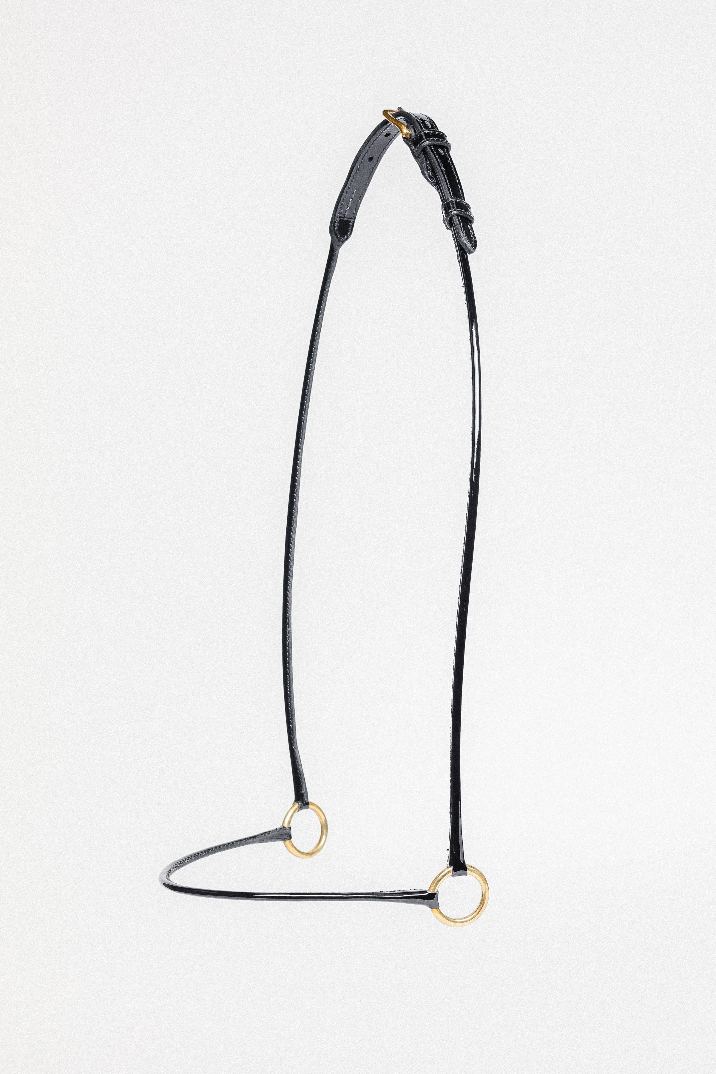 Black leather Arabian Show Cable Halter with gold rings, shown on a white background.