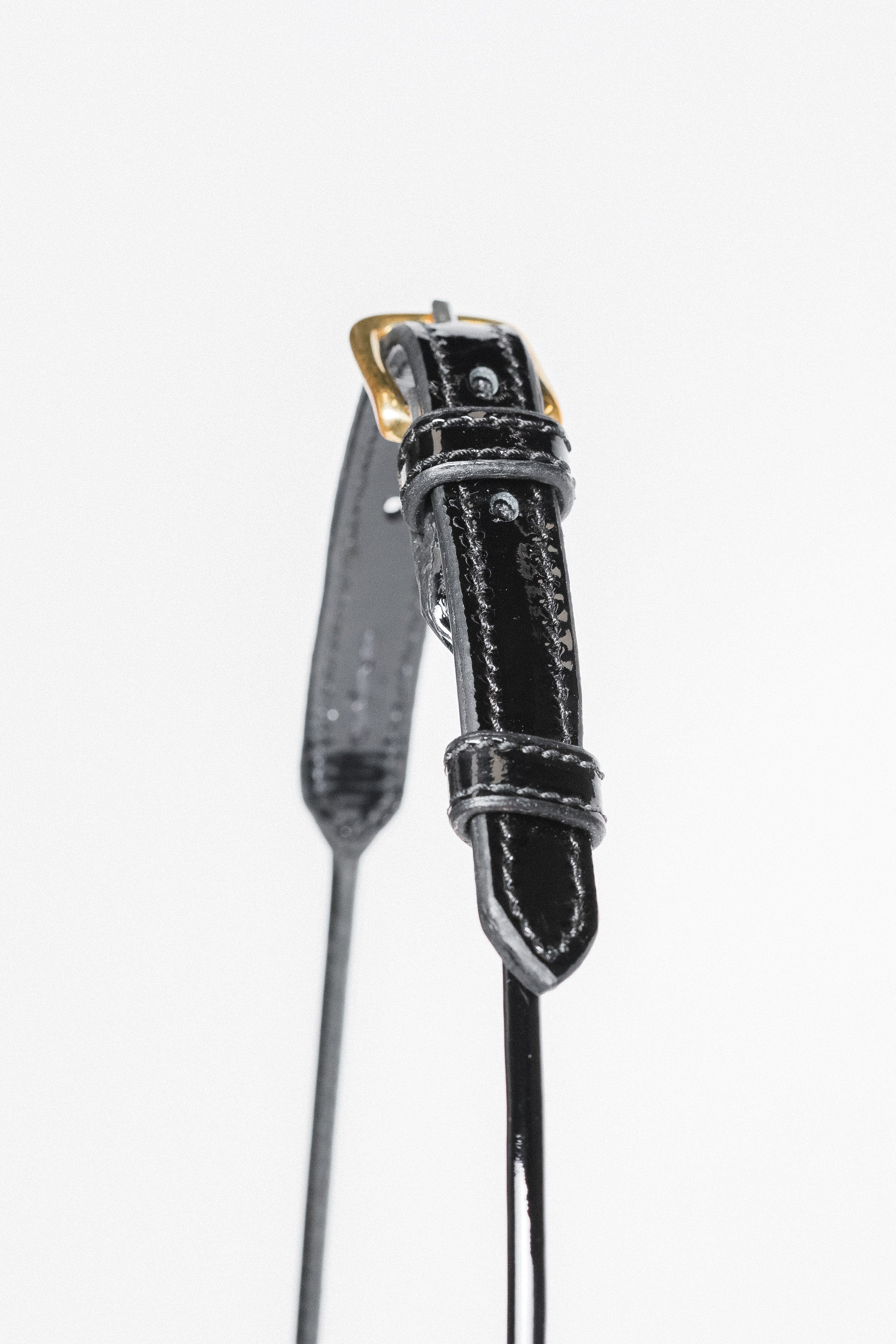 Zoomed-in view of the buckle and strap detail on an Arabian Show Cable Halter.