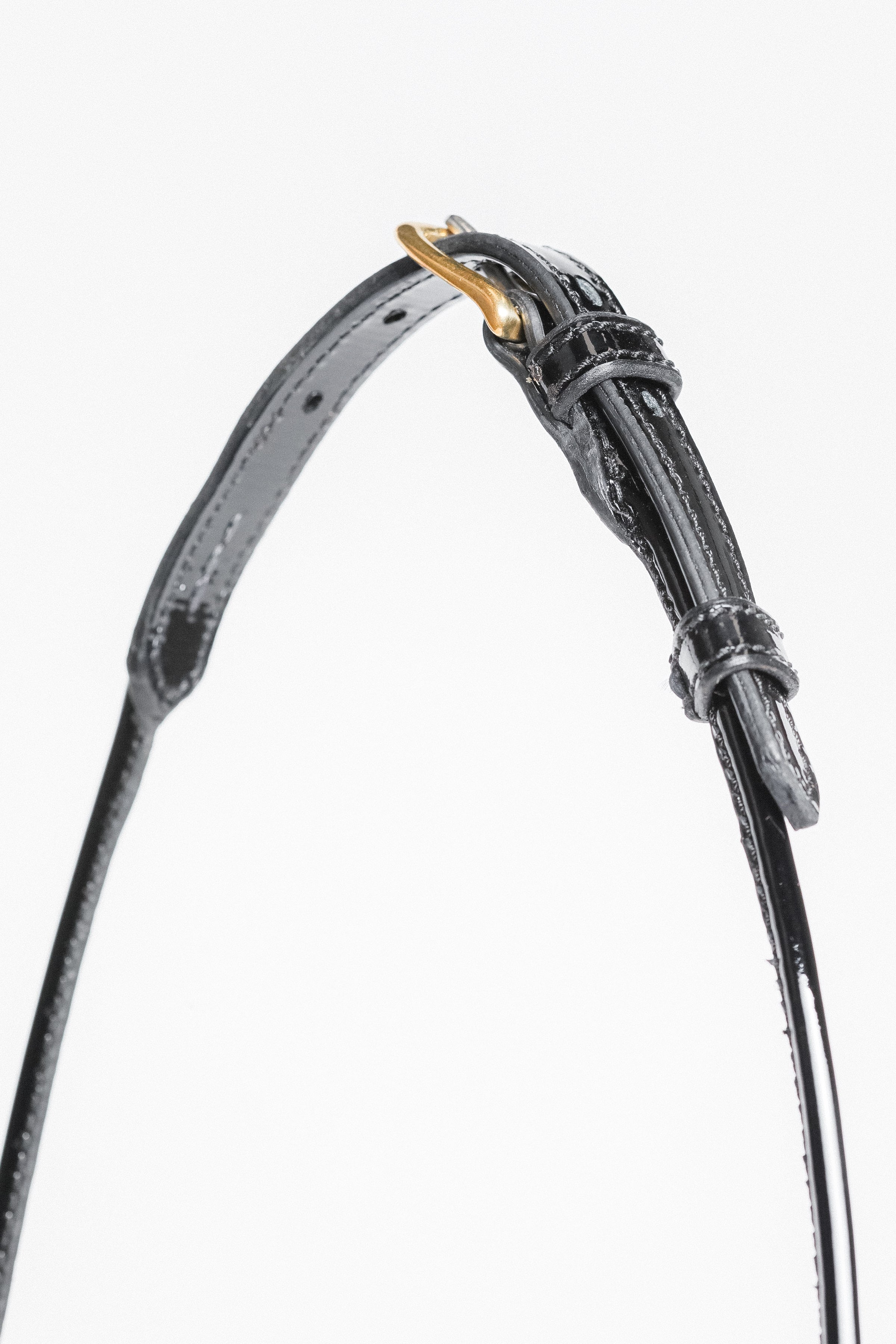 Zoomed-in view of the buckle and strap detail on an Arabian Show Cable Halter.