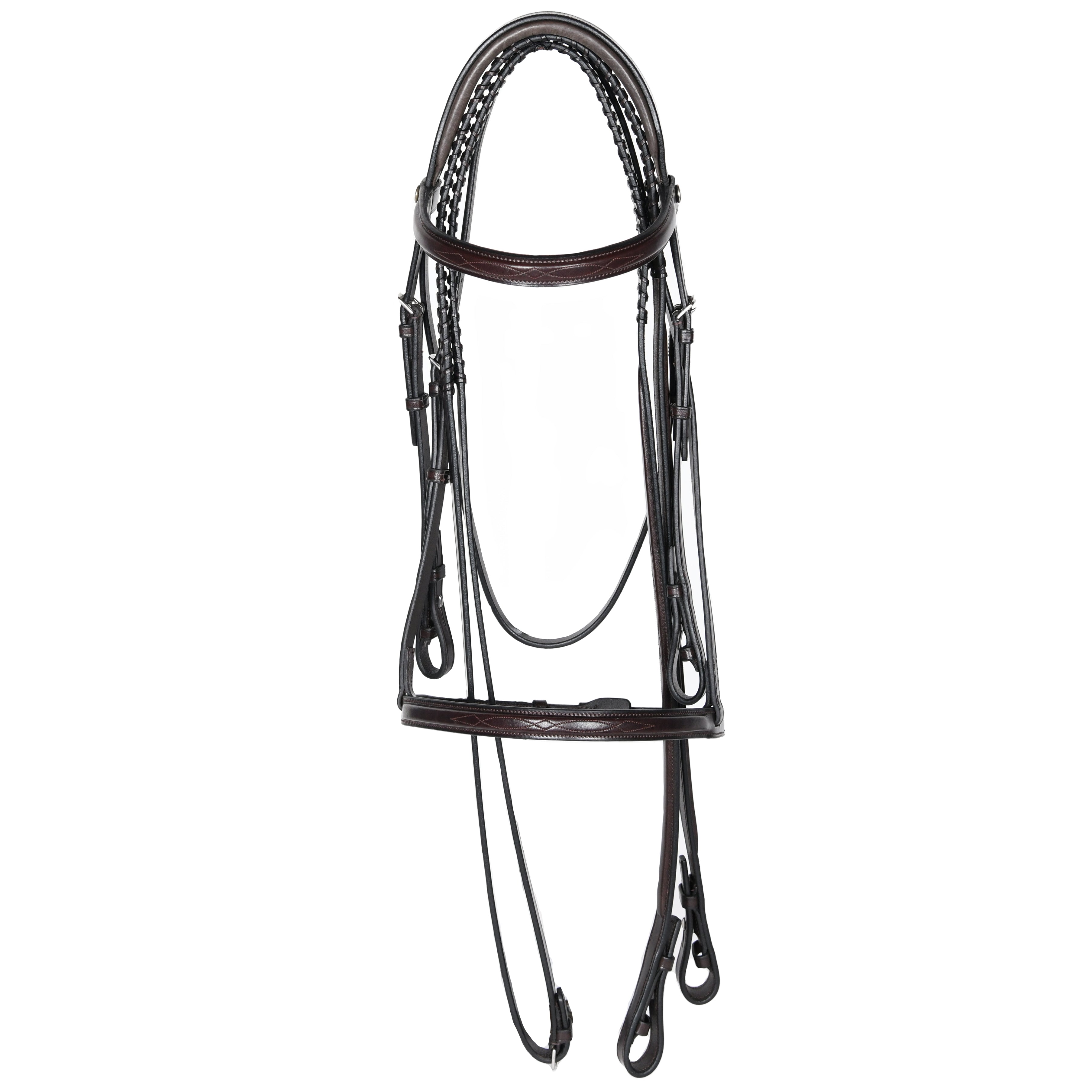 Brown leather bridle with fancy stitching on browband and noseband, displayed on a white background.