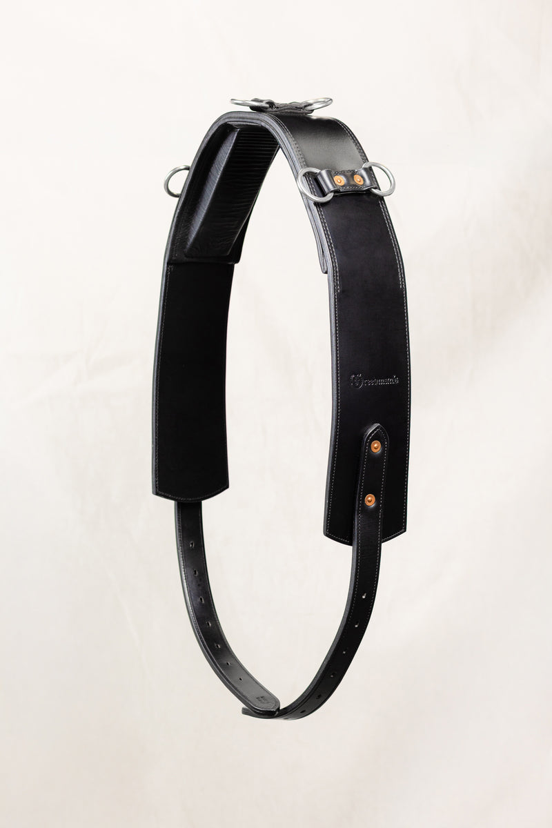 Freedman's Swing Set Complete