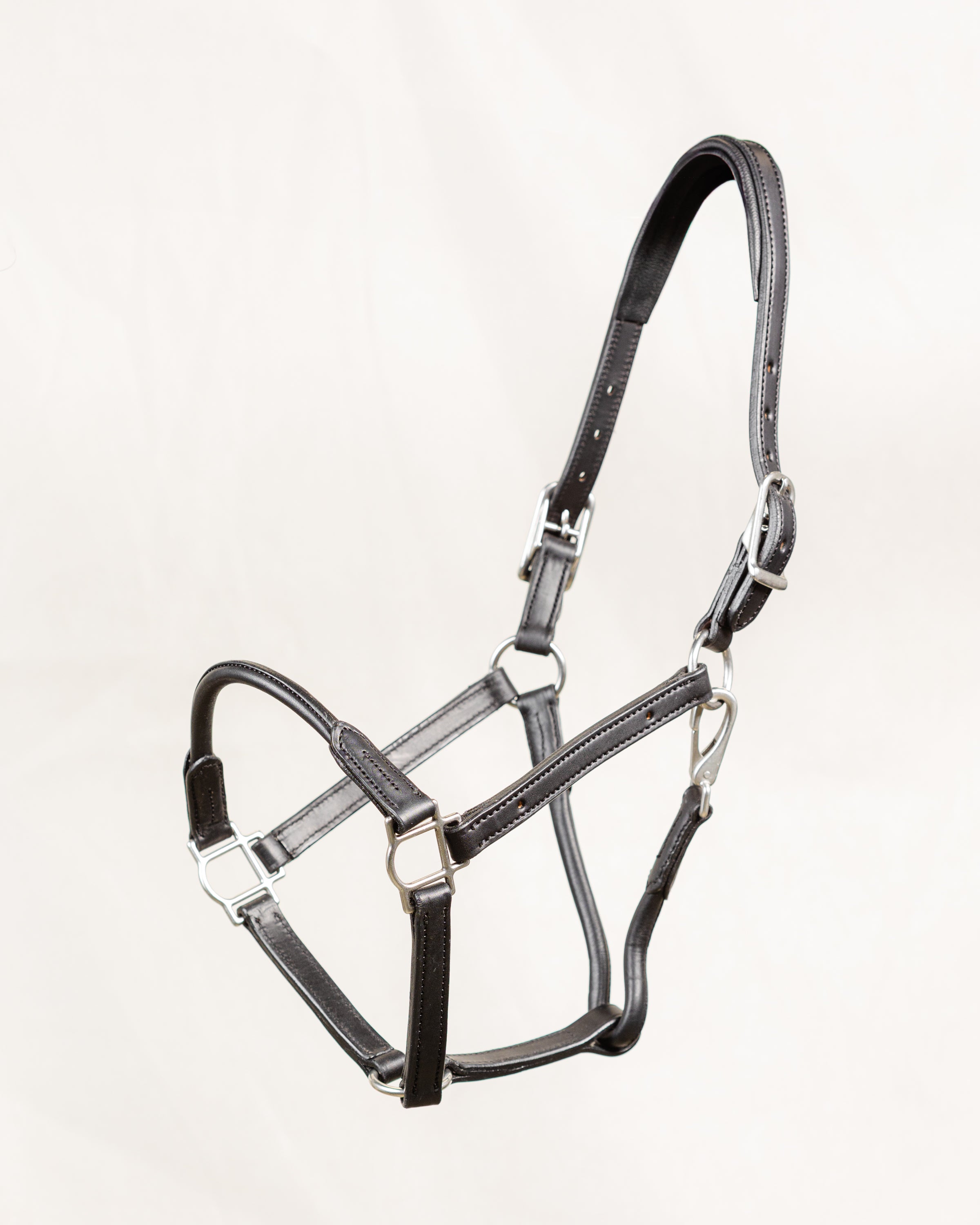 Black leather horse halter, showcasing the detailed stitching and brass hardware, including buckles and rings, laid out on a clean white background.