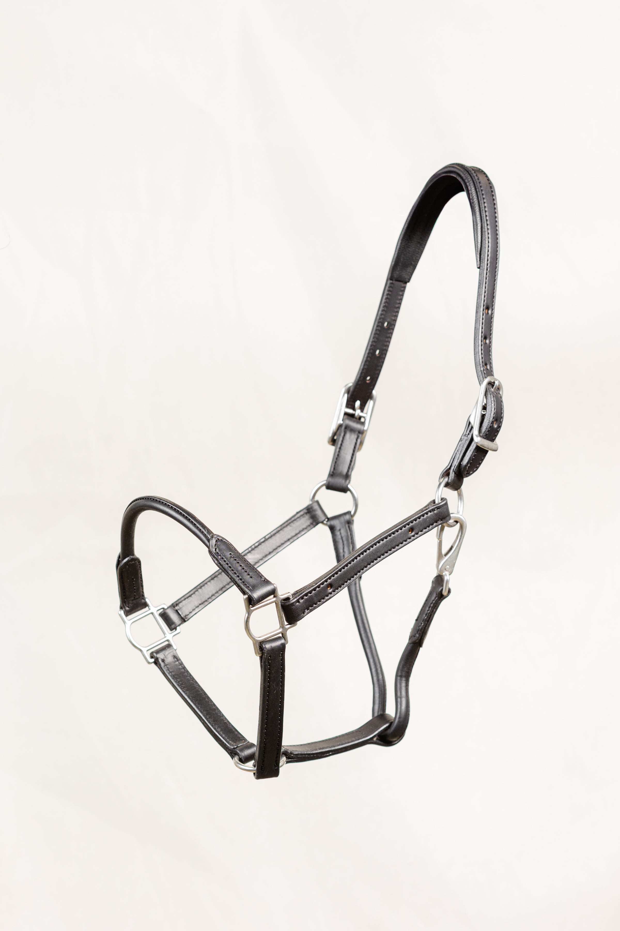 Black leather horse halter, showcasing the detailed stitching and brass hardware, including buckles and rings, laid out on a clean white background.