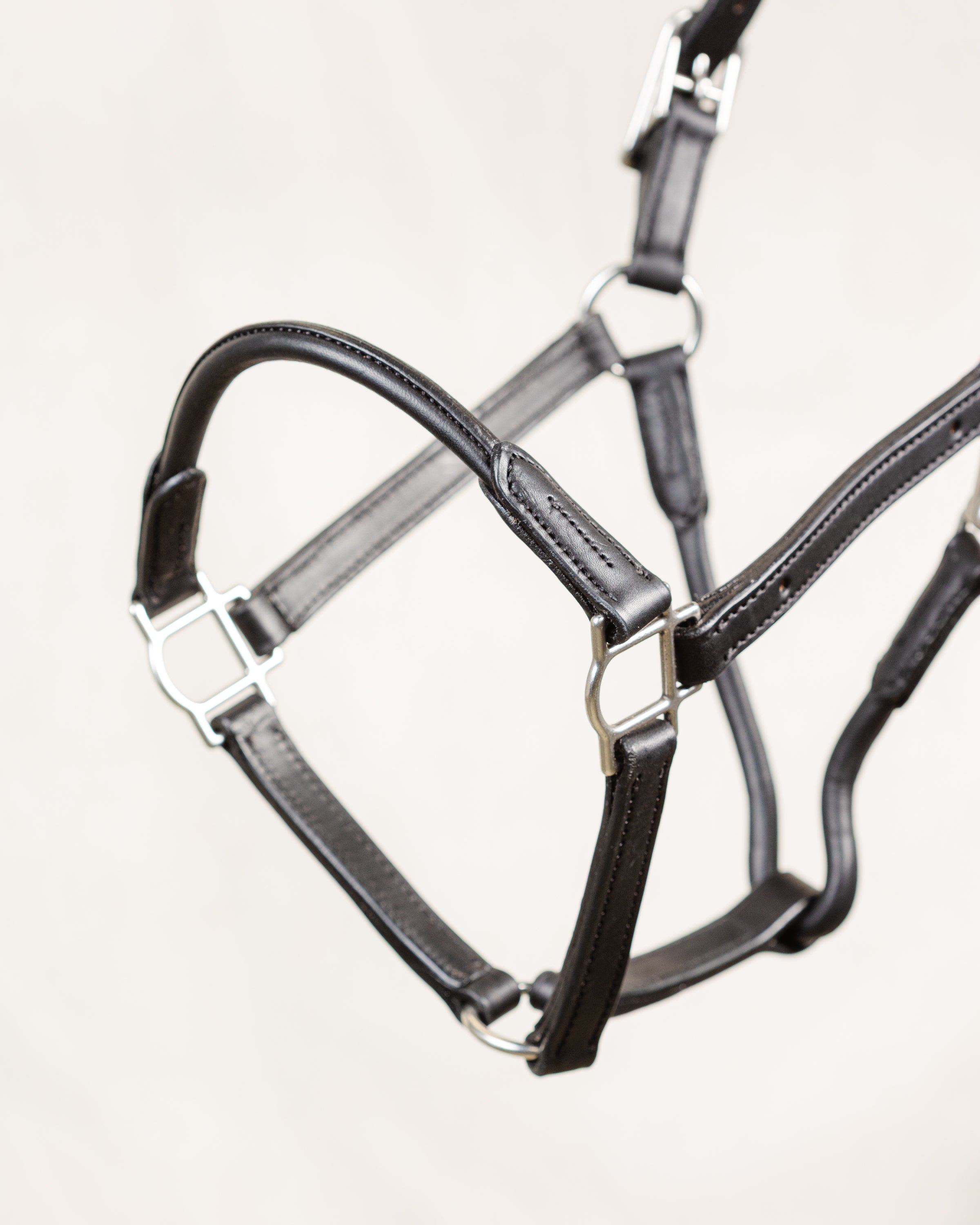 Close-up of a black leather horse halter, showcasing the brass buckle, rings, layered straps, detailed stitching, and overall construction against a white background.