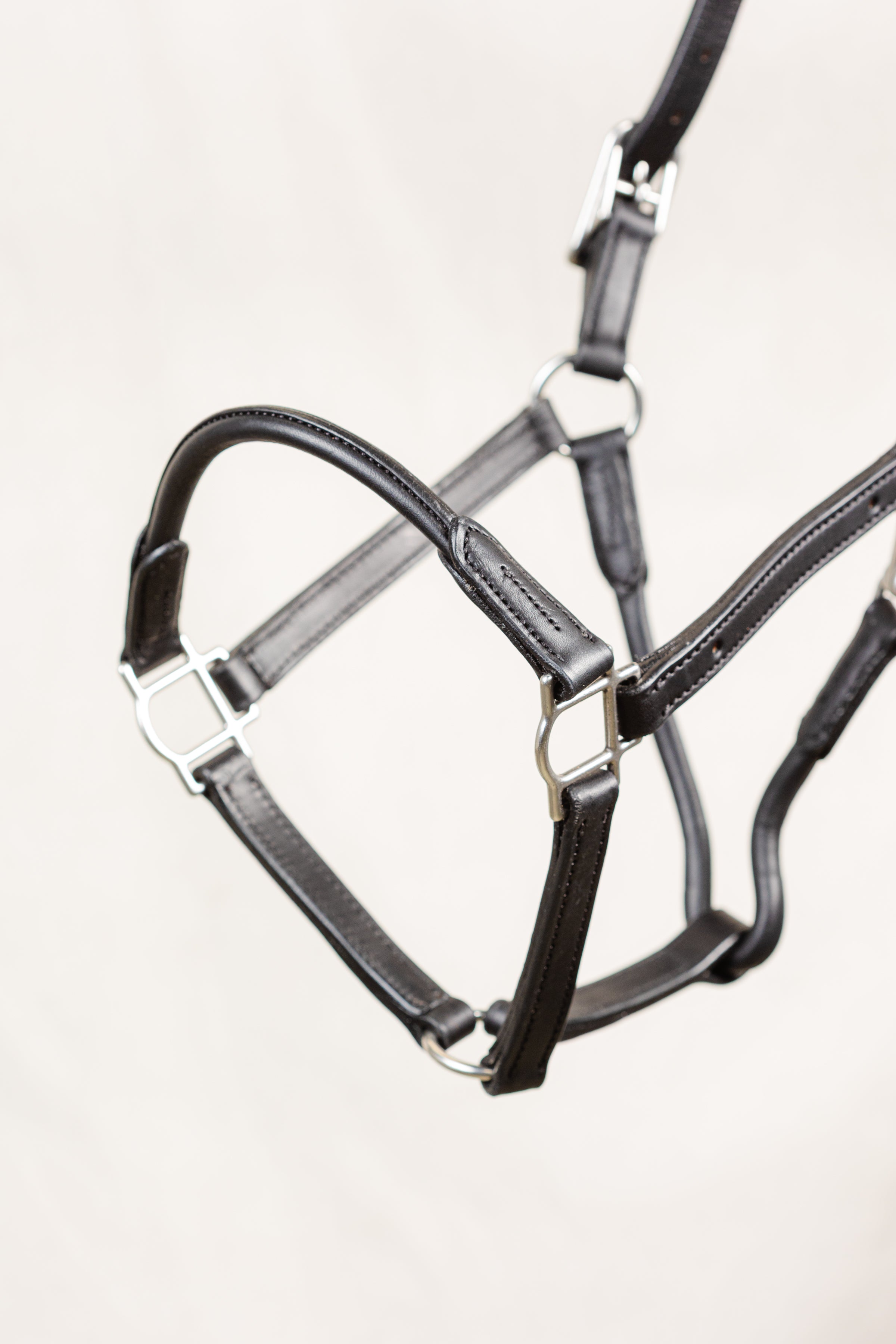 Close-up of a black leather horse halter, showcasing the brass buckle, rings, layered straps, detailed stitching, and overall construction against a white background.
