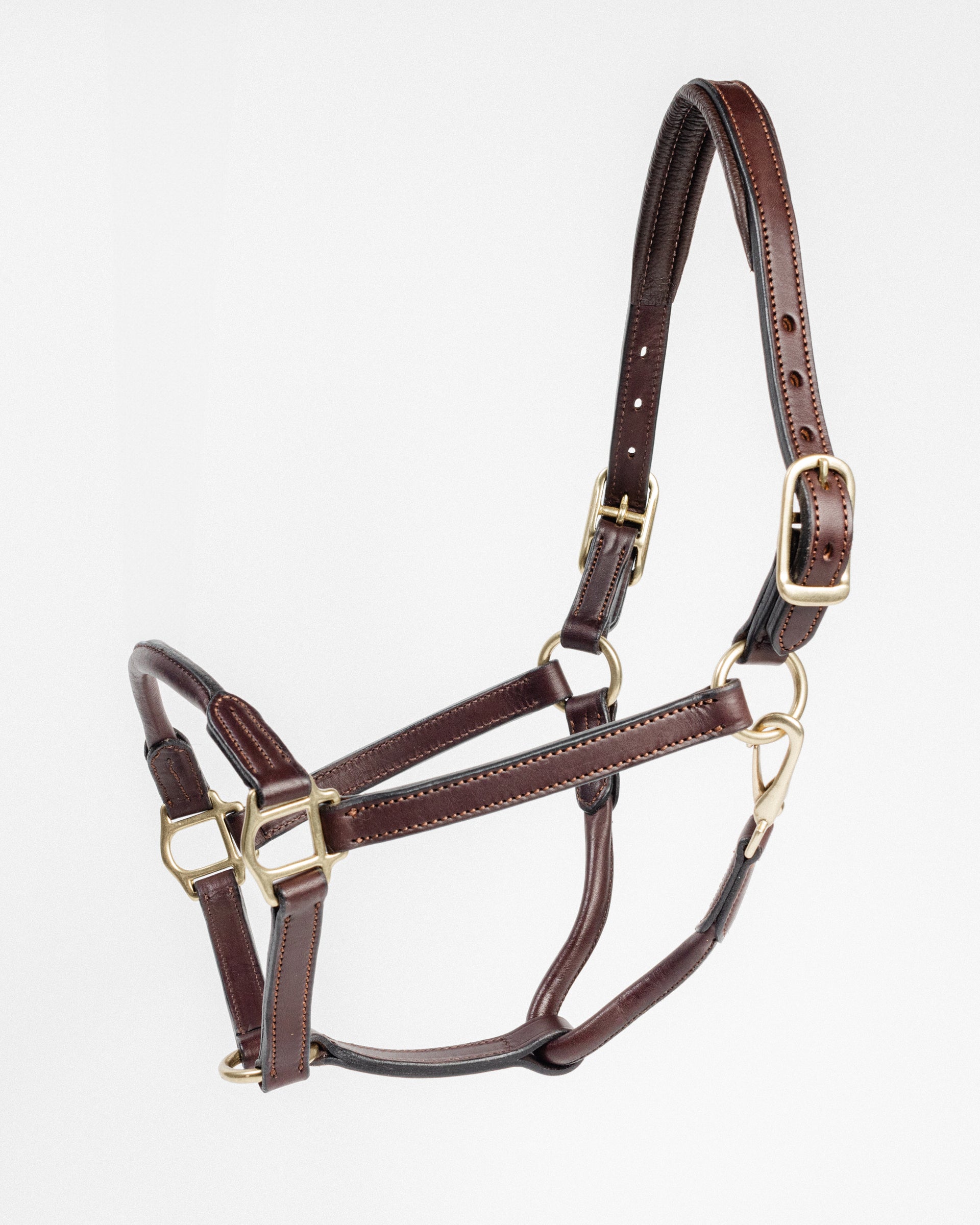 Dark brown leather horse halter, showcasing the detailed stitching and brass hardware, including buckles and rings, laid out on a clean white background.