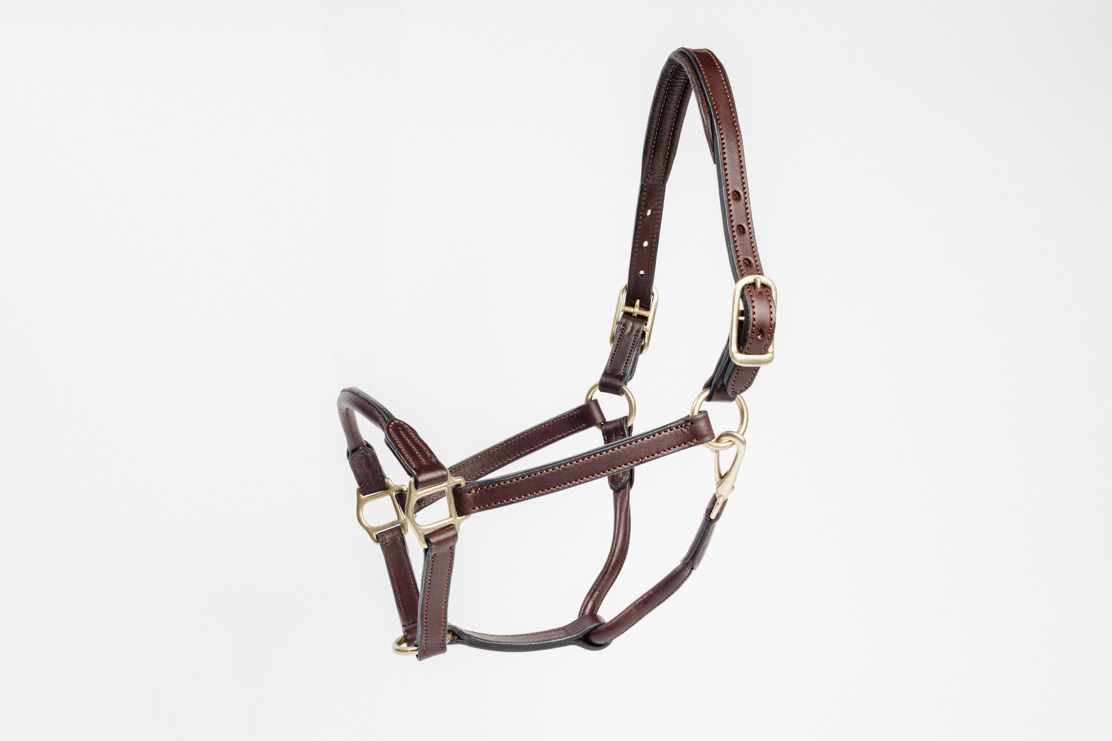 3/4" Cob Halter with Rolled Nose and Padded Crown