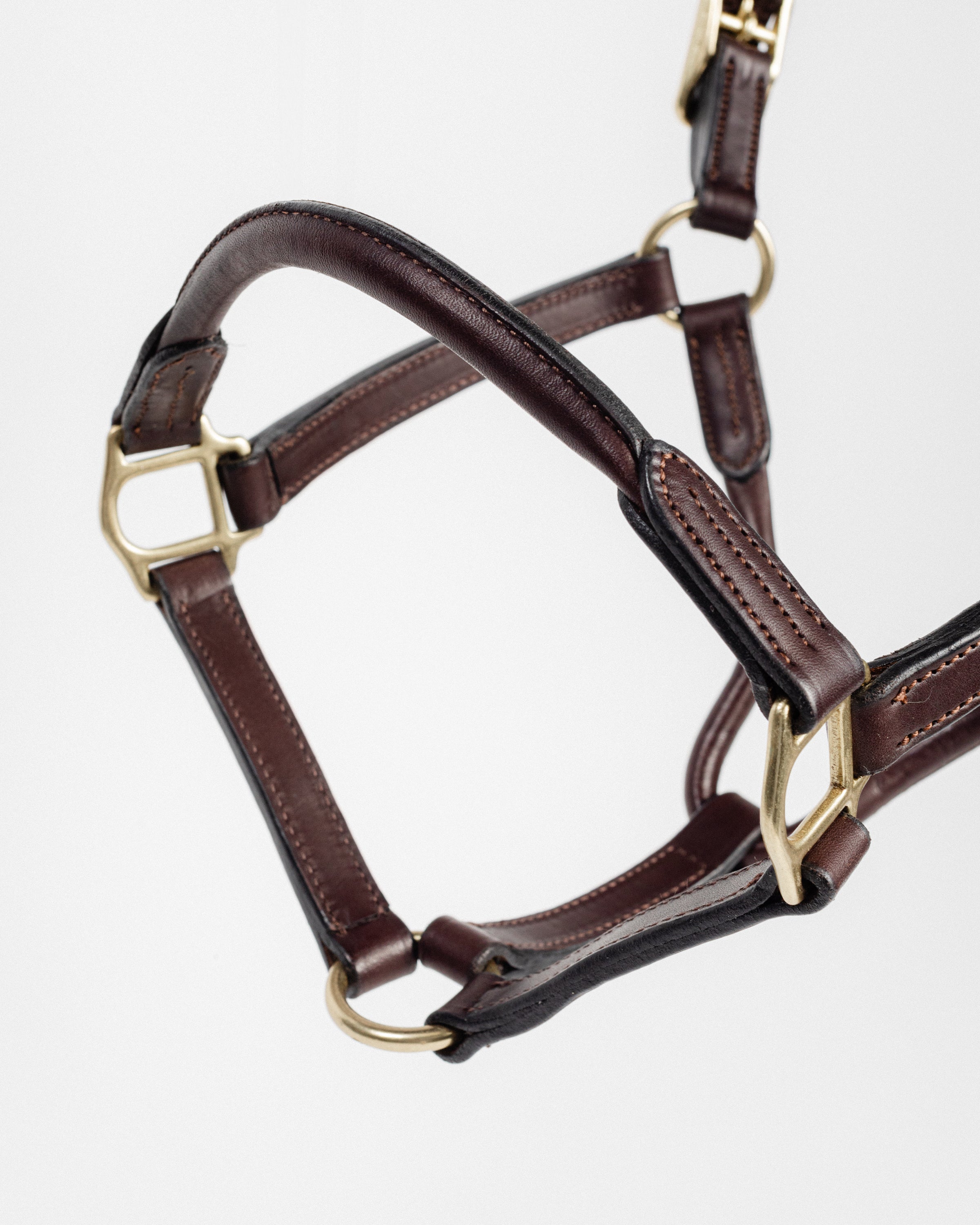 Close-up of a dark brown leather horse halter, showcasing the brass buckle, rings, layered straps, detailed stitching, and overall construction against a white background.
