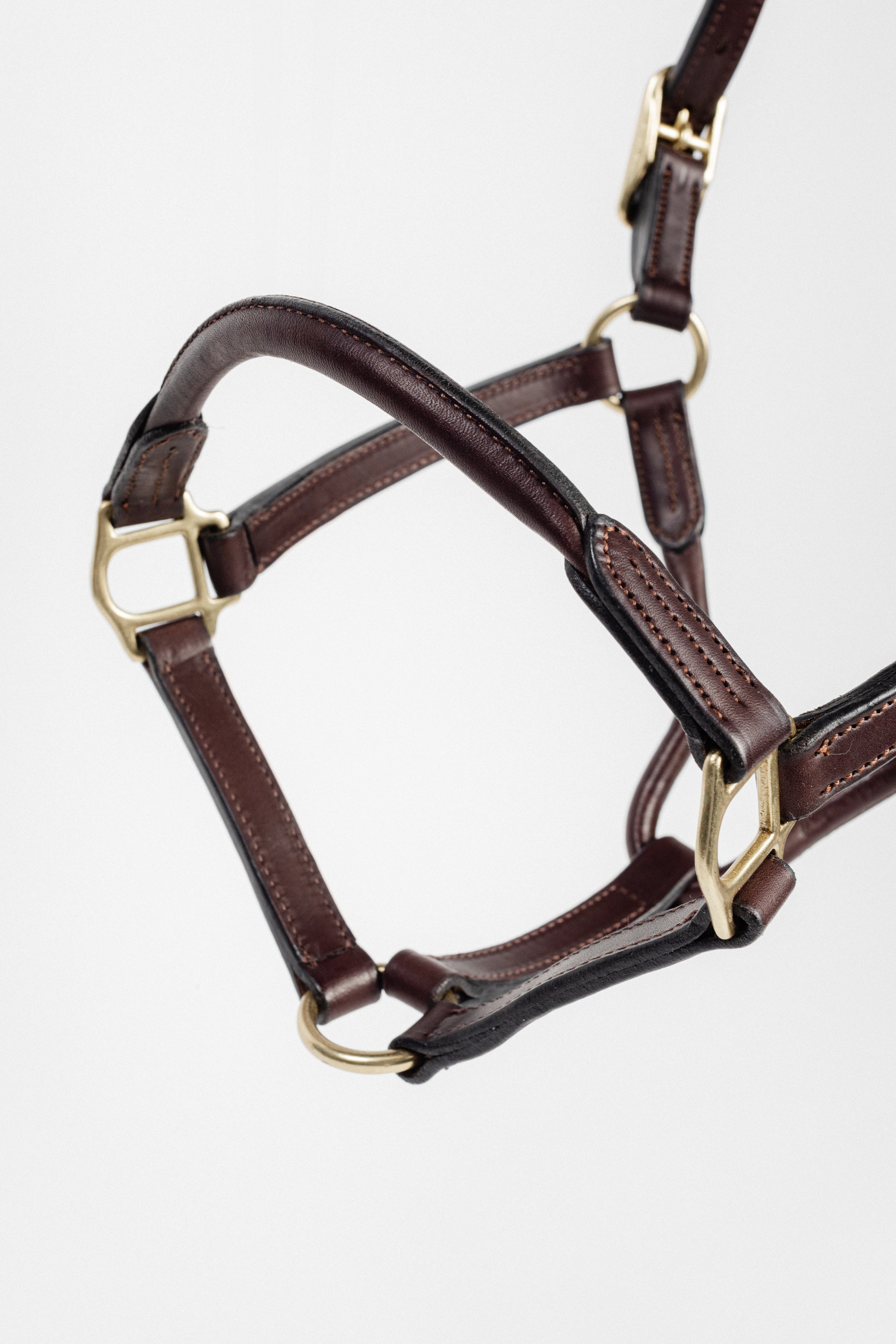 Close-up of a dark brown leather horse halter, showcasing the brass buckle, rings, layered straps, detailed stitching, and overall construction against a white background.