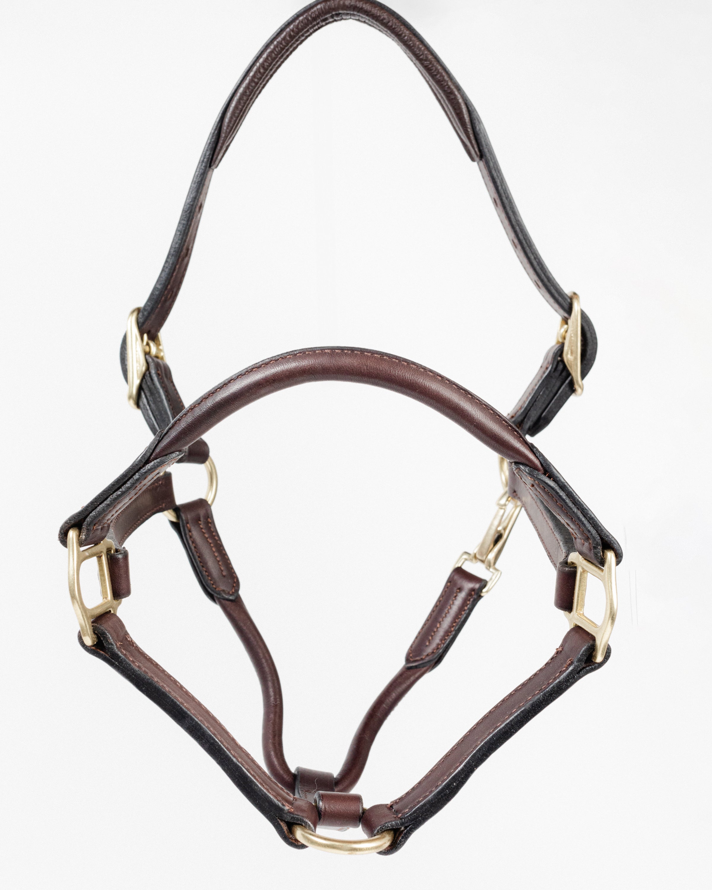 Dark brown leather halter with rolled noseband, padded crown, blue accent detail, and detailed stitching, laid out on a clean white background.