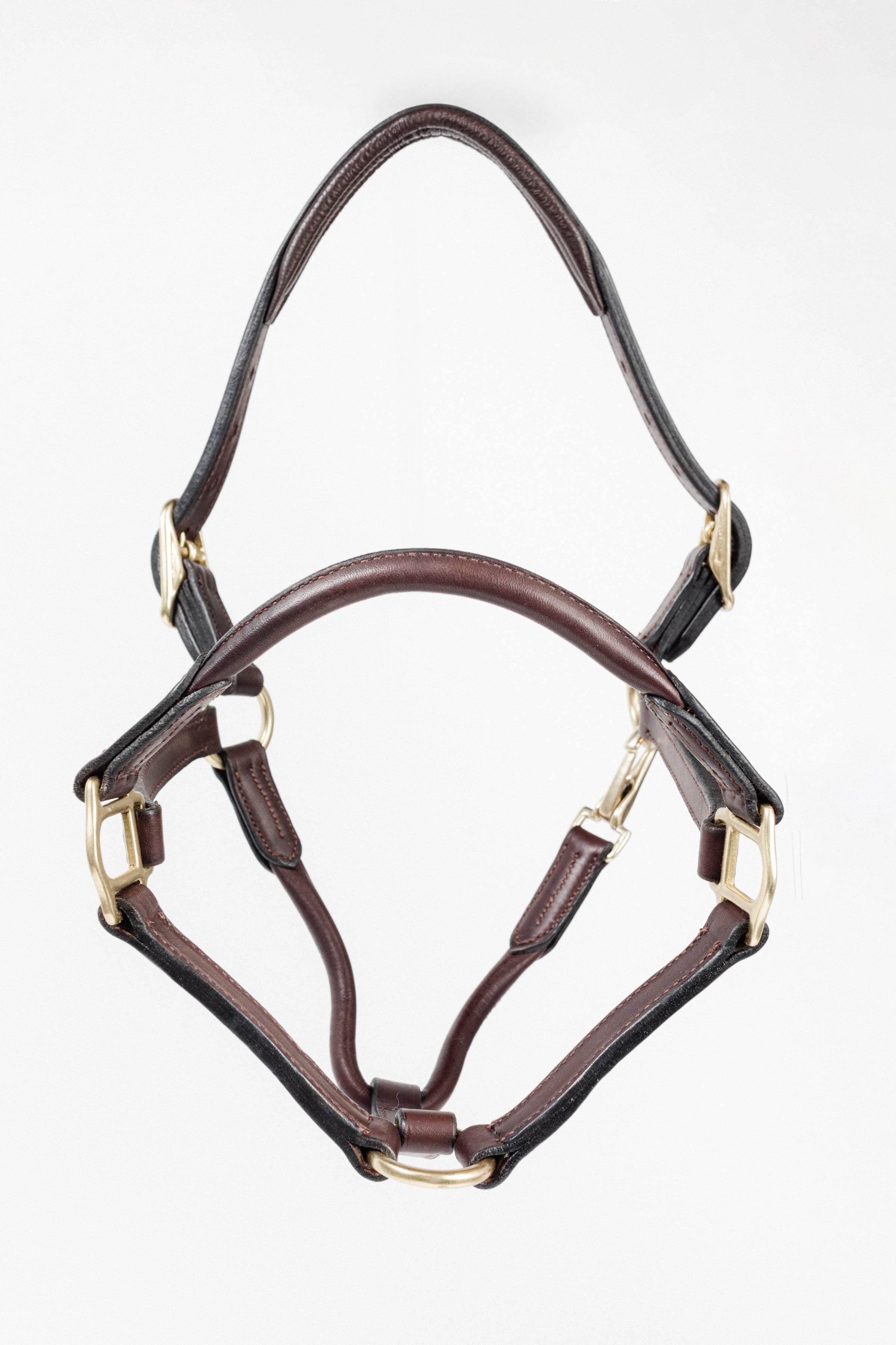 Dark brown leather halter with rolled noseband, padded crown, blue accent detail, and detailed stitching, laid out on a clean white background.