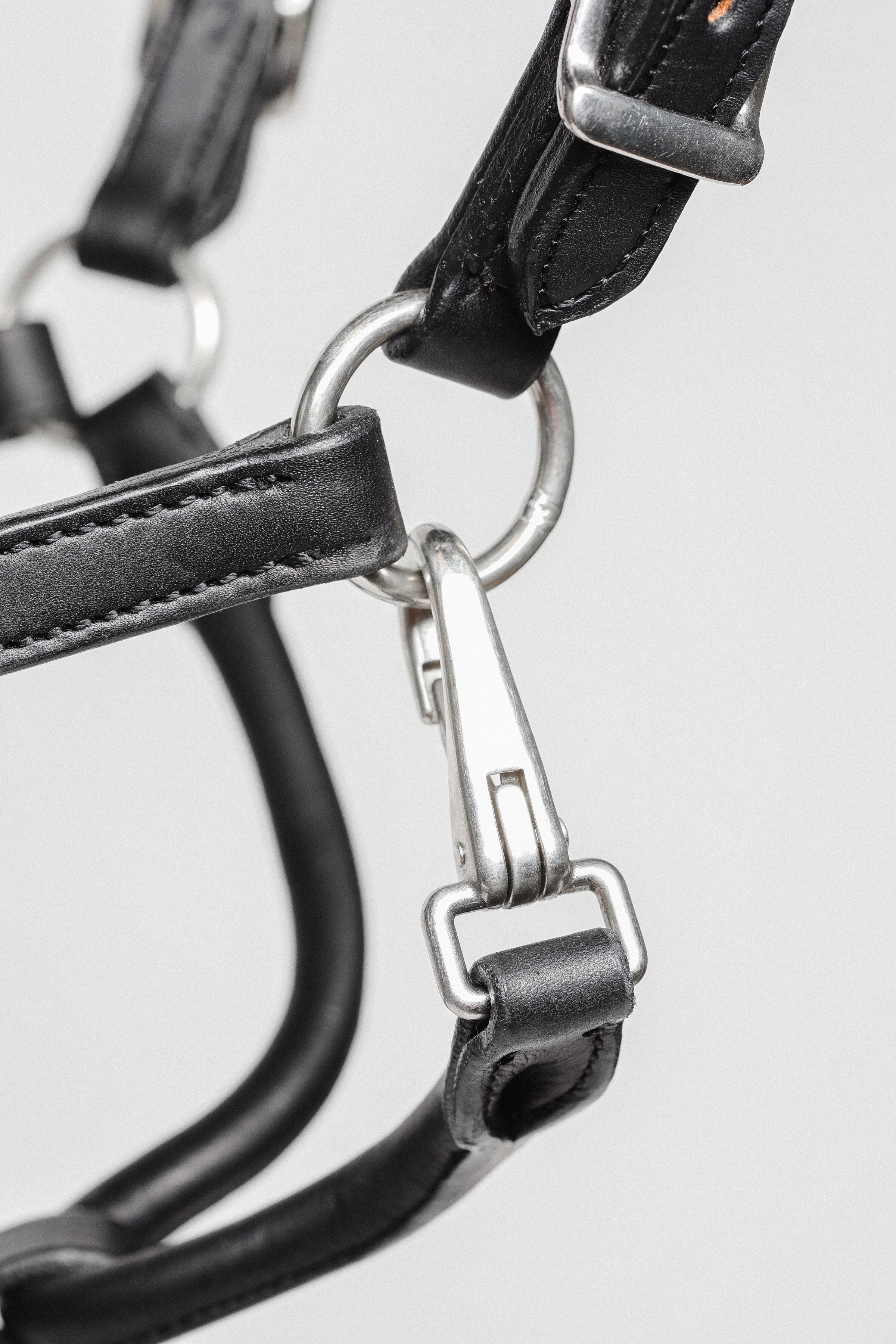 Close-up of 3/4" Double Stitched Fixed Chin Halter by Freedman's, Showing Metal Hardware and Stitching