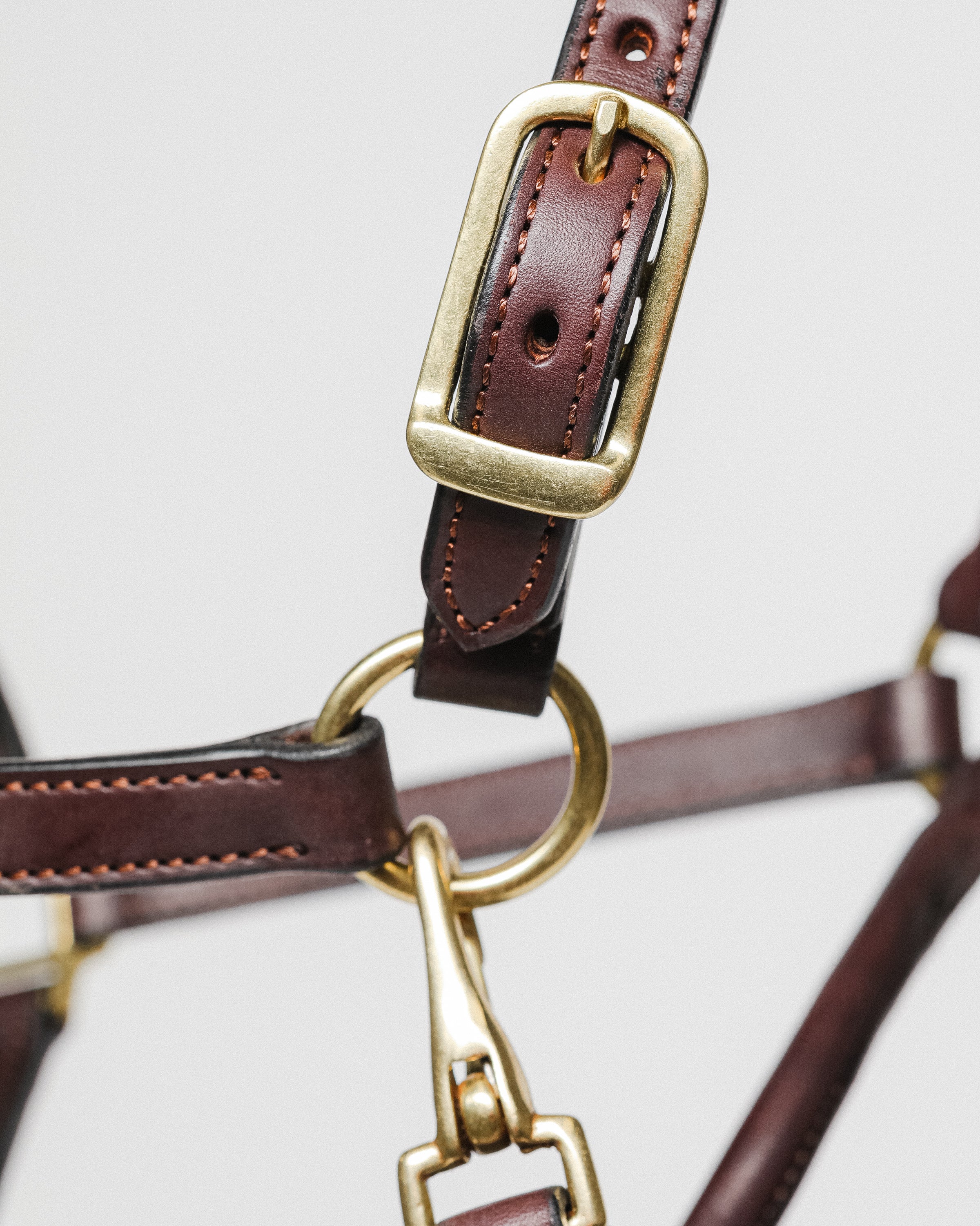 Close-up of 3/4" Double Stitched Fixed Chin Halter by Freedman's, Showing Metal Hardware and Stitching