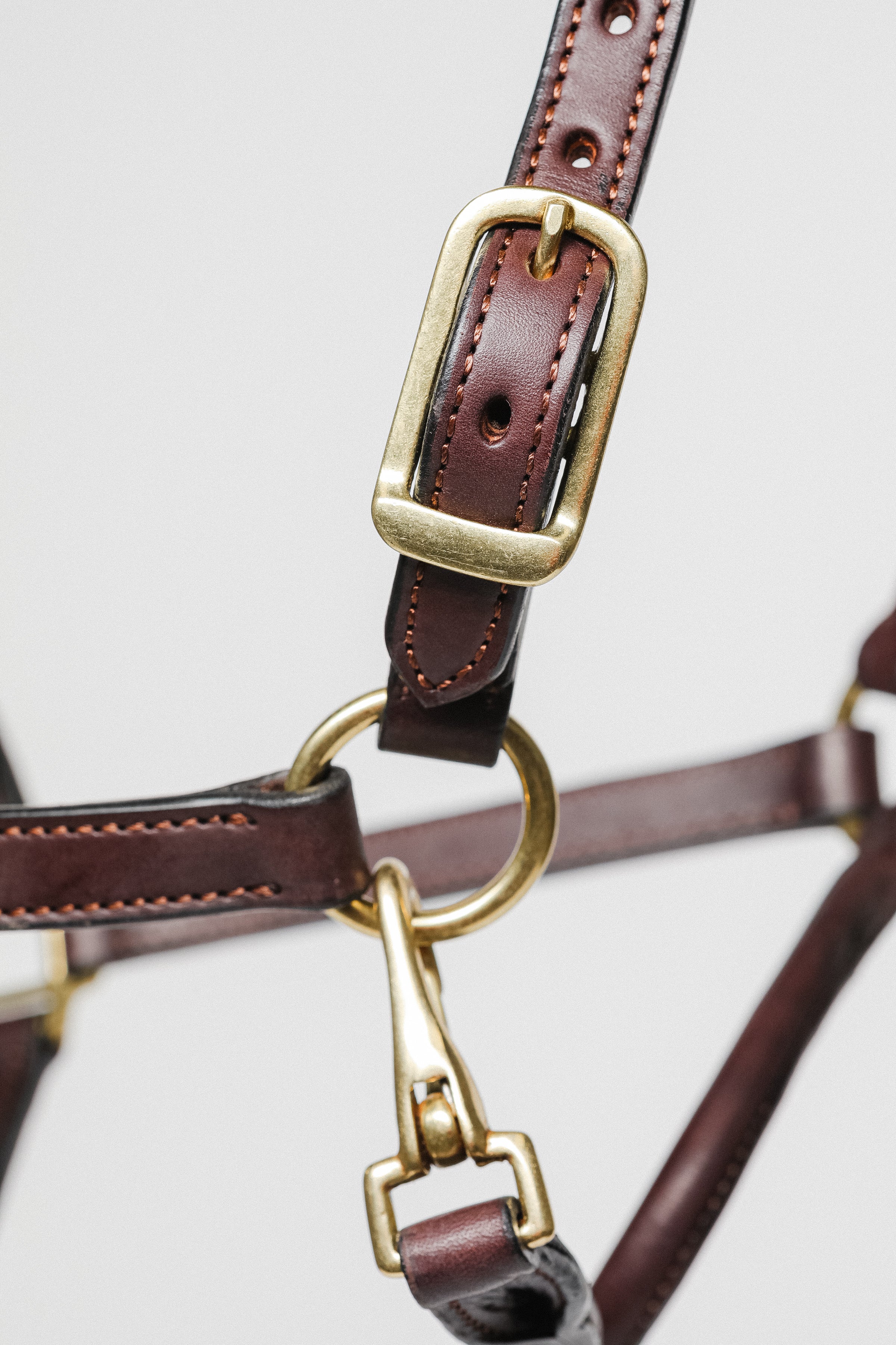 Close-up of 3/4" Double Stitched Fixed Chin Halter by Freedman's, Showing Metal Hardware and Stitching