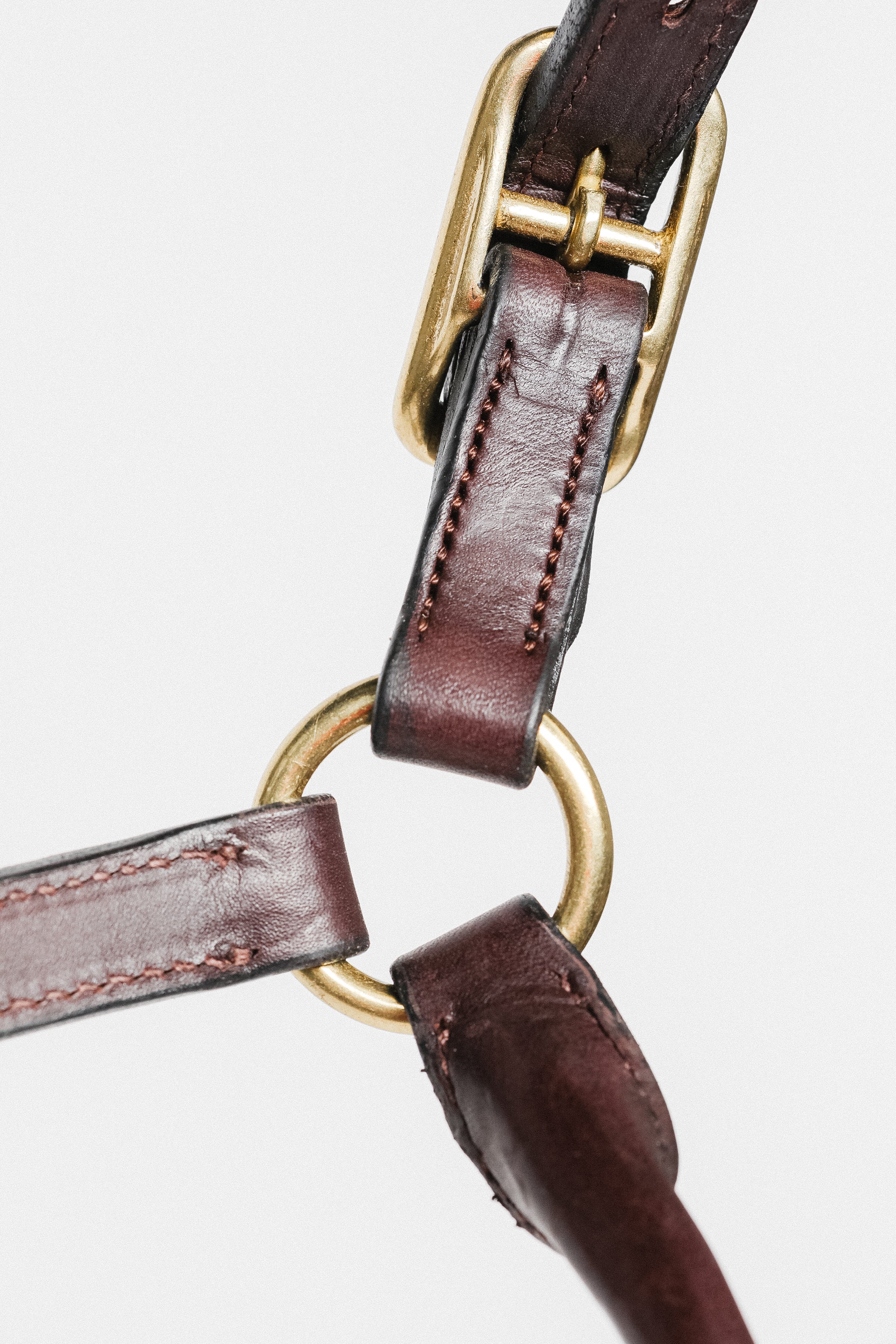 Close-up of 3/4" Double Stitched Fixed Chin Halter by Freedman's, Showing Metal Hardware and Stitching