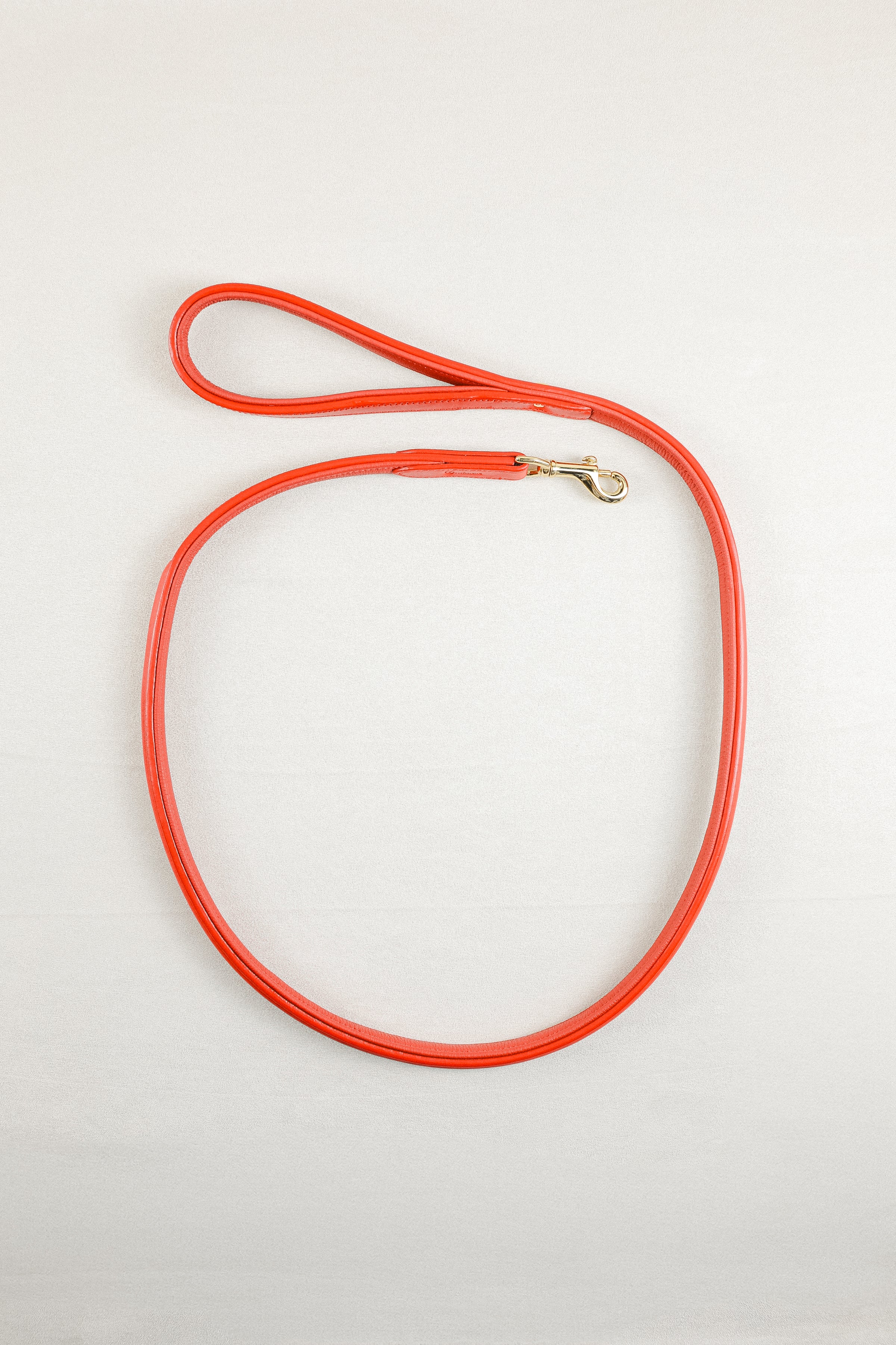 Red leather dog leash with a gold clasp.