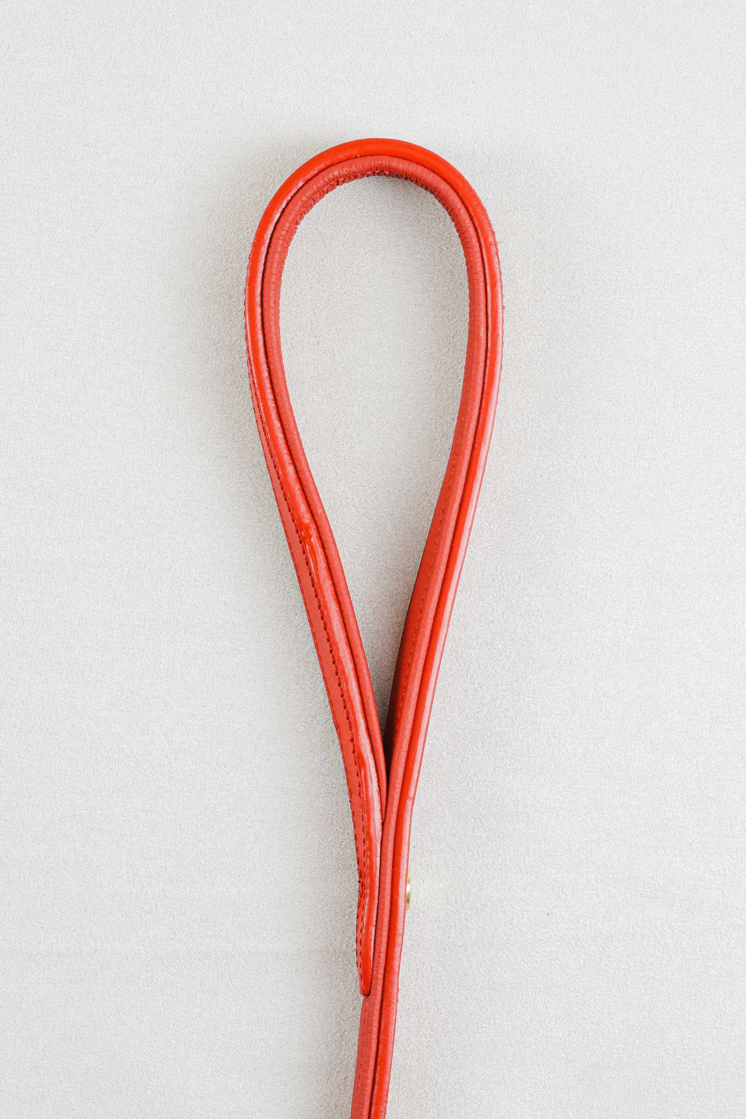Close-up of red leather of Raised Dog Leash showing gold clasp, showcasing the handle.