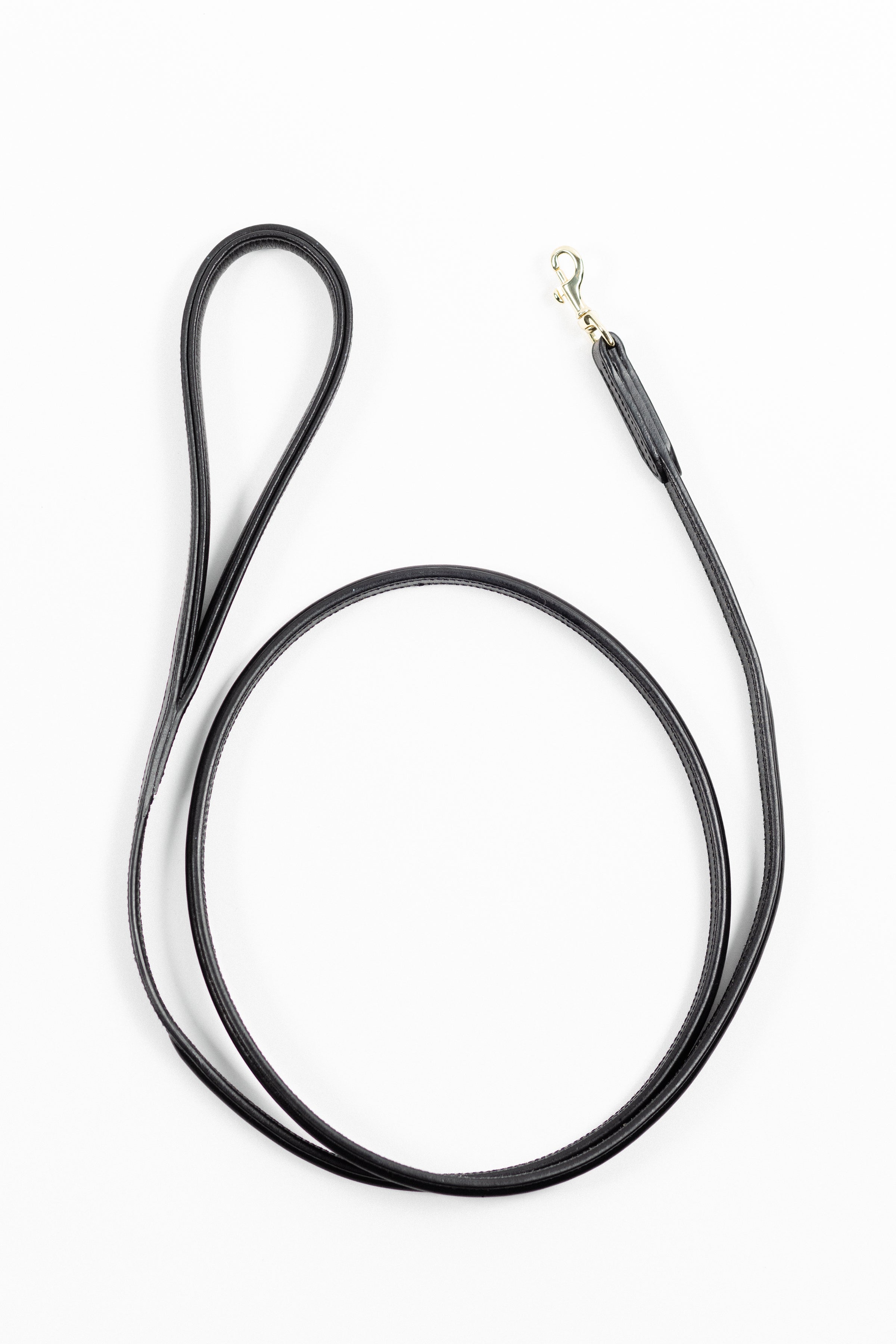 Black leather dog leash with a gold clasp.