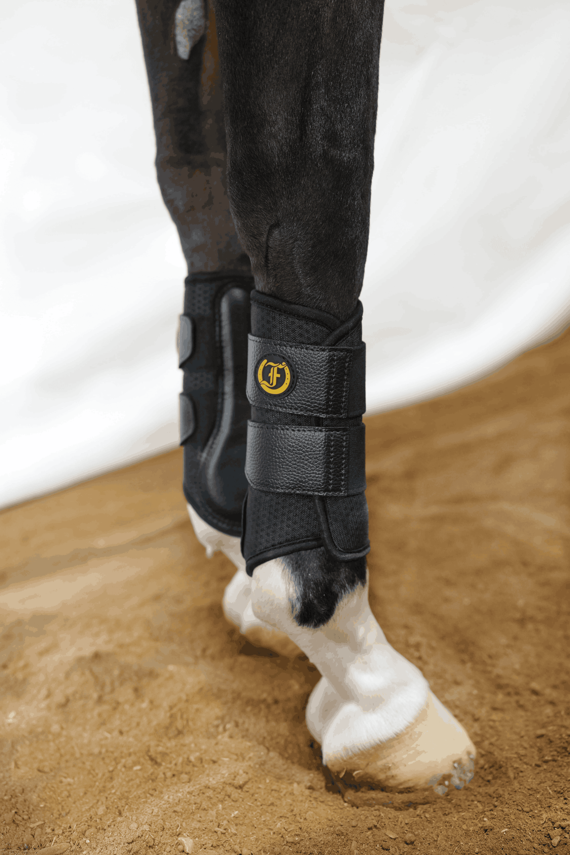 Horse wearing black splint boots for leg protection and support during training.