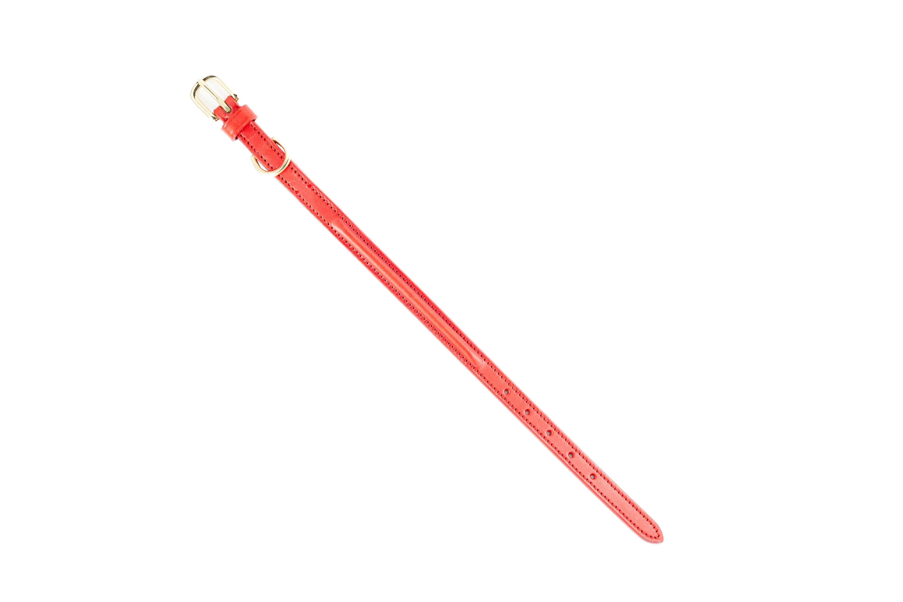 Raised Dog Collar in red leather with brass buckle, angled view on white background.