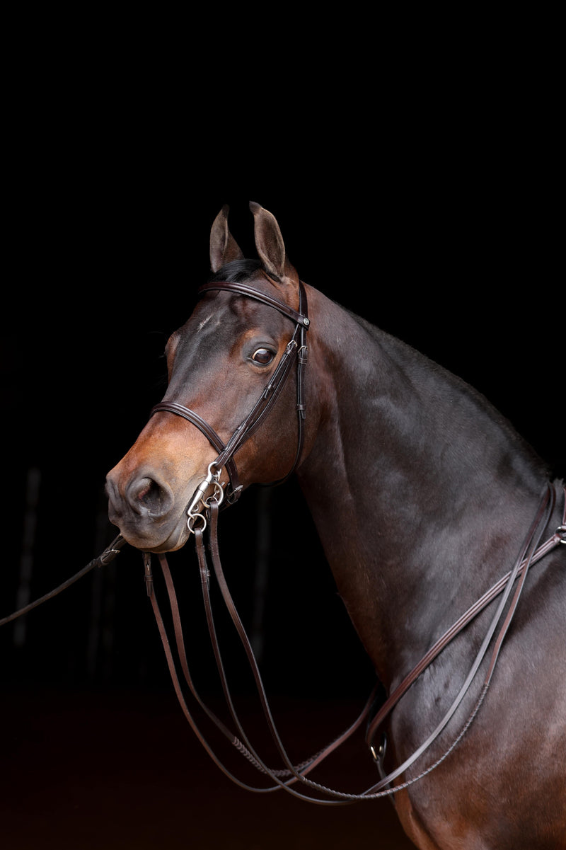 Dark bay horse with Freedman's Stake Night Double Bridle, leather reins and bit detail.