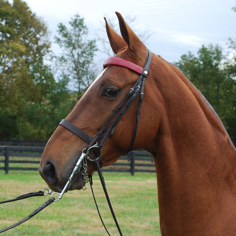 A chestnut horse wearing the Advantage Comfort Padded Double Bridle with a red browband in a natural setting