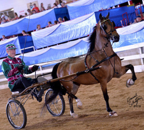 Brown Hackney horse pulling a racing carriage with a driver in red and green silks on a dirt track, with spectators in the background.