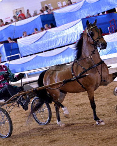 Brown Hackney horse pulling a racing carriage with a driver in red and green silks on a dirt track, with spectators in the background.
