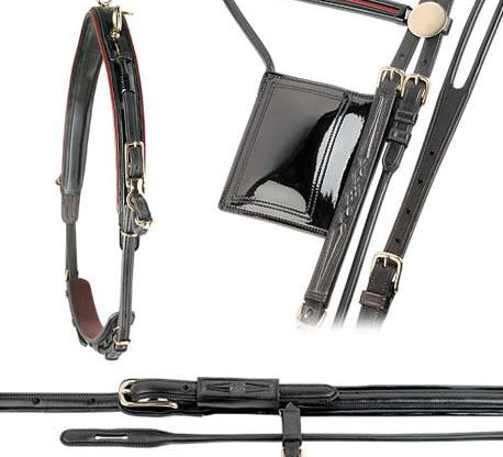 Collage of black leather horse harness parts, including a neck strap, bridle, and various straps with buckles.