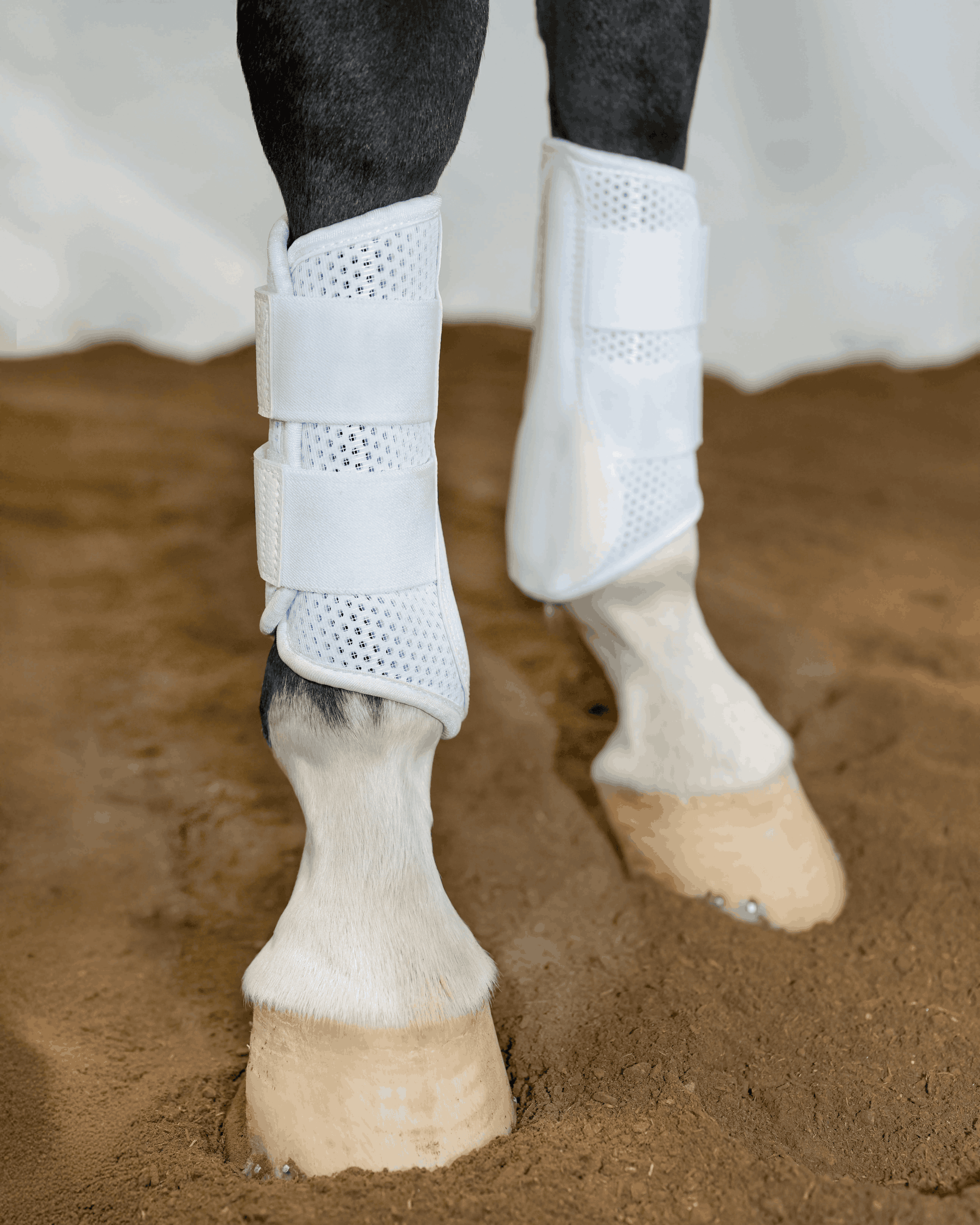 Horse wearing white Freedman’s splint boots with breathable mesh panels in arena footing