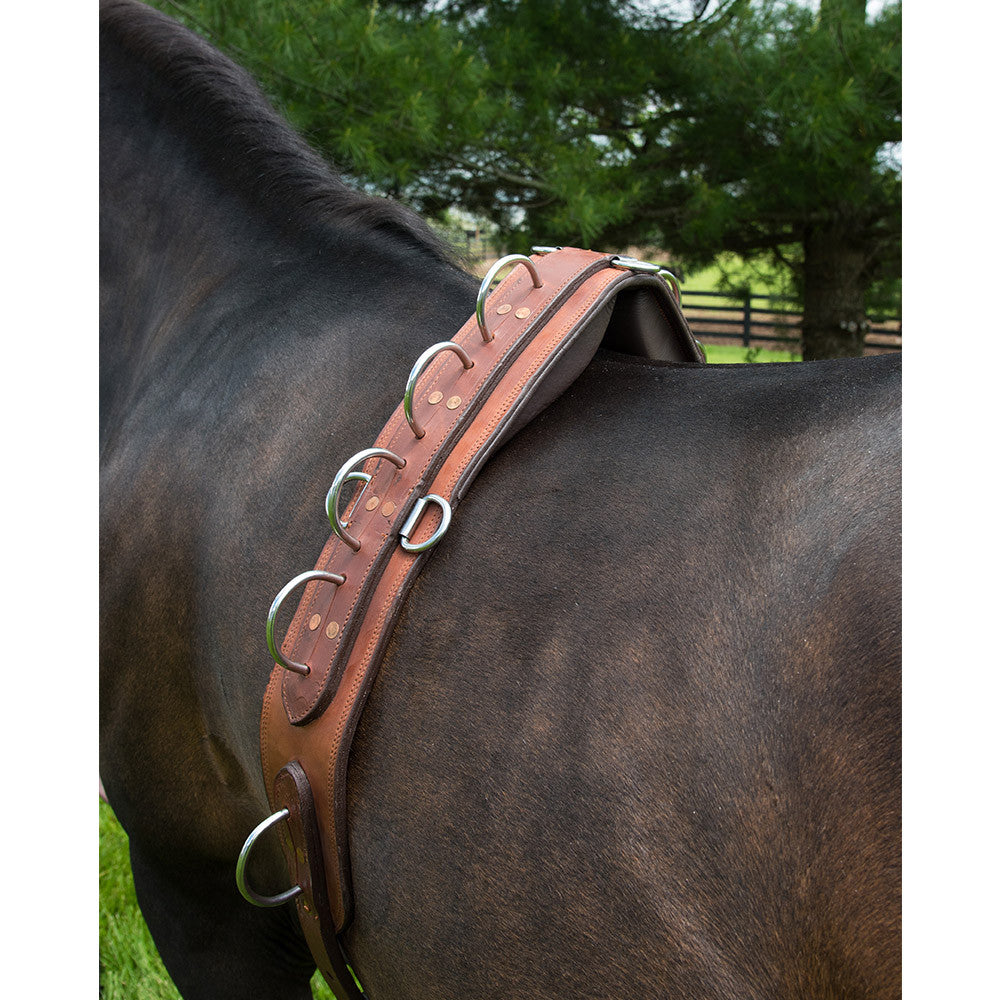 ACTraining Long Lining Surcingle, designed for training horses with long lines, made of brown leather with multiple rings for various training aids, shown on a horse's back.