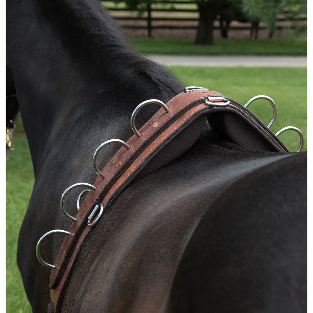 ACTraining Long Lining Surcingle, designed for training horses with long lines, made of brown leather with multiple rings for various training aids, shown on a horse's back.