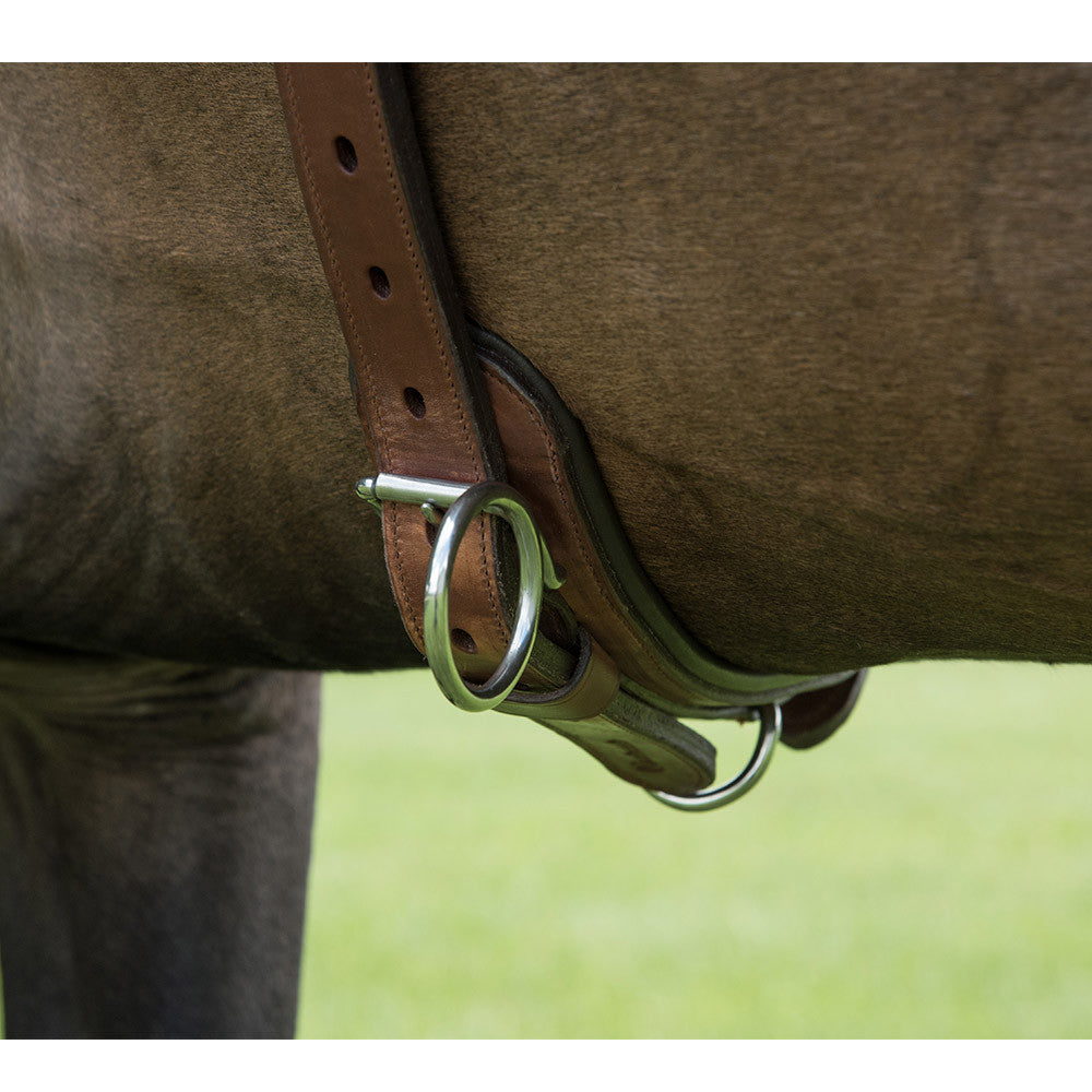Close-up of a brown leather strap from horse tack, showcasing the leather texture, metal rings, buckle details, and stitching, shown attached to a horse's side.