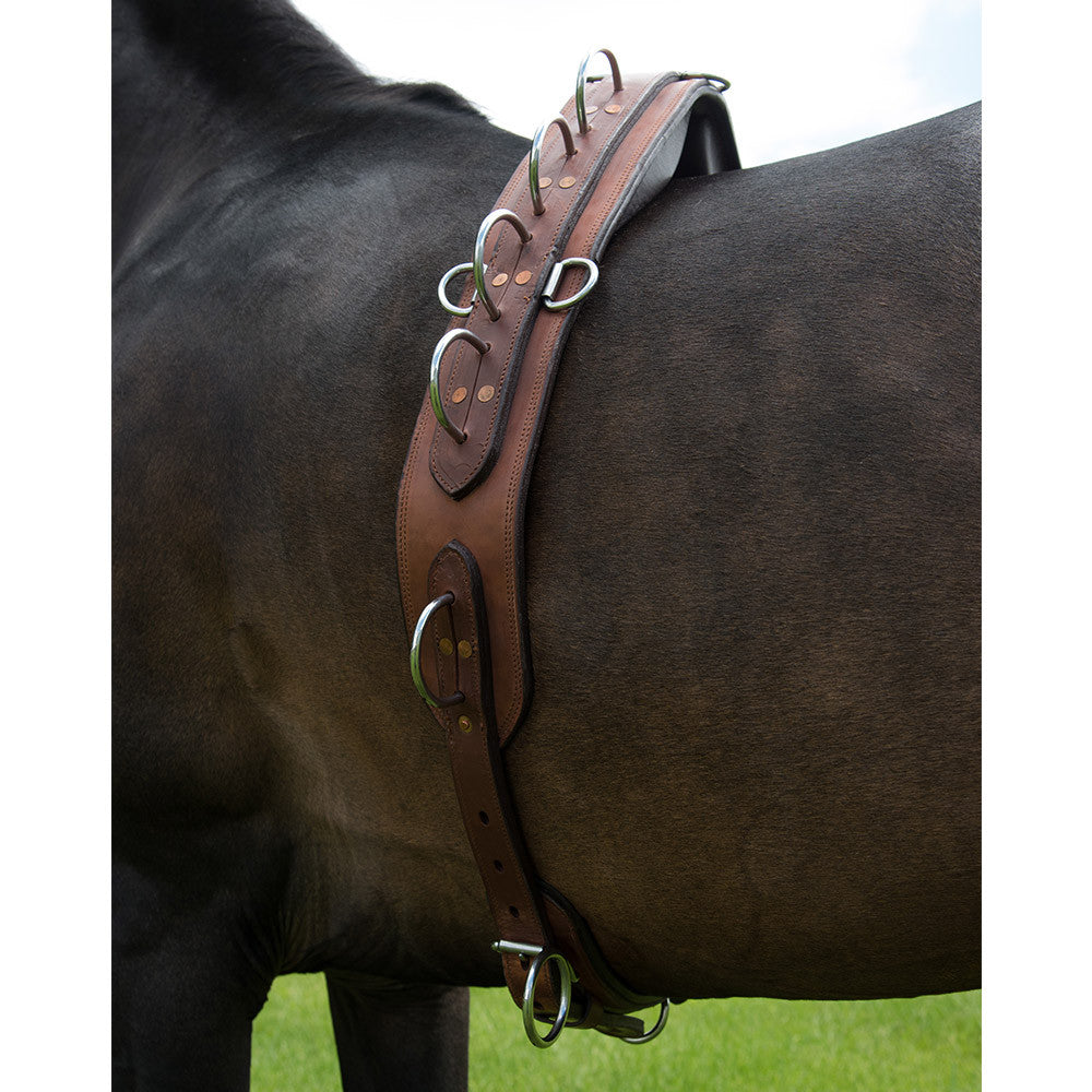 ACTraining Long Lining Surcingle, designed for training horses with long lines, made of brown leather with multiple rings for various training aids, shown on a horse's back.