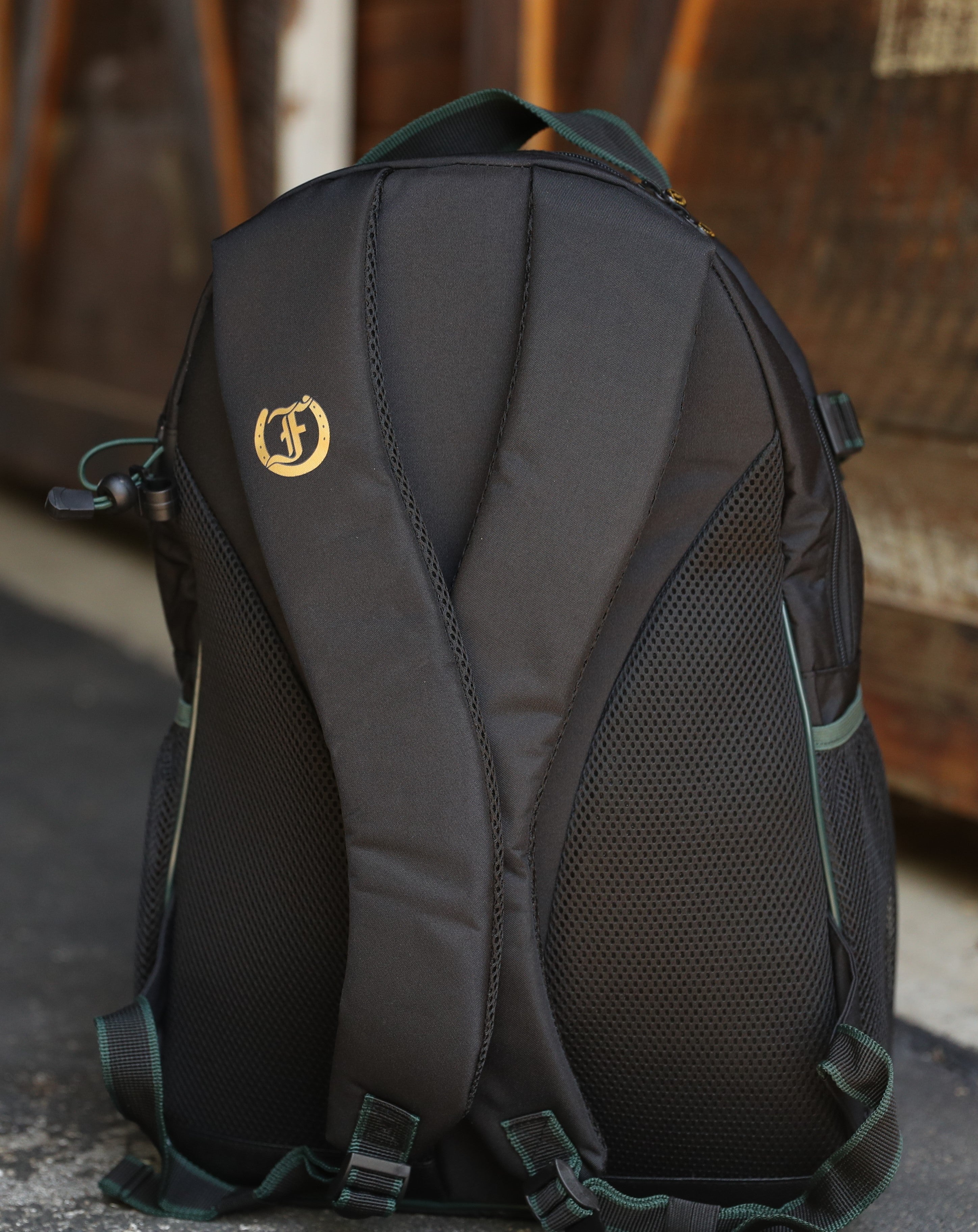 Back view of Team Freedman's Backpack, black fabric with padded mesh back panel, gold Freedman's logo, green trim, adjustable straps with buckles, outdoor setting.
