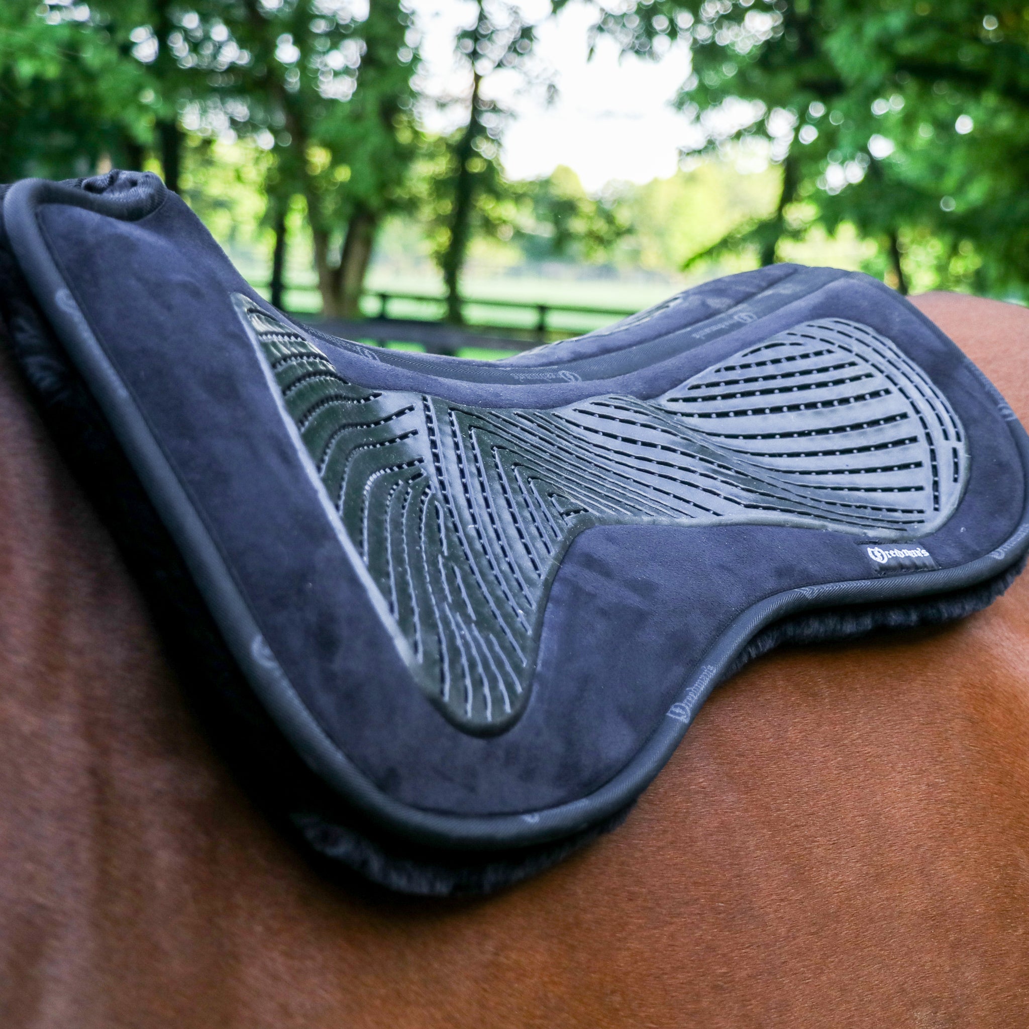 Black Acavallo gel/silicone and memory foam half pad with cut-back design and black eco fleece lining - on a horse