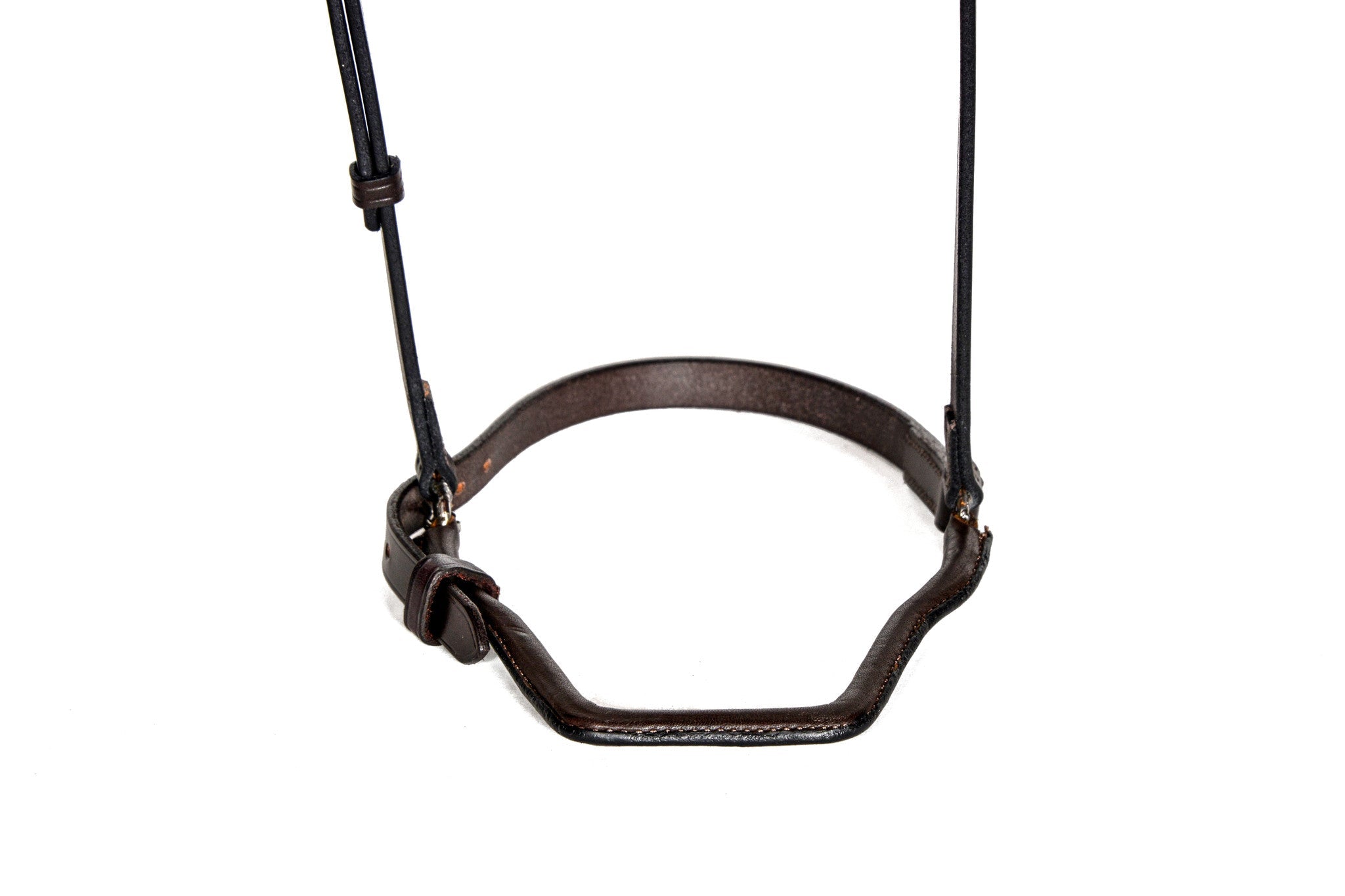 Horse Show Equipment: Front Closure Wire Back Show Caveson with Padded Leather and Metal Hardware