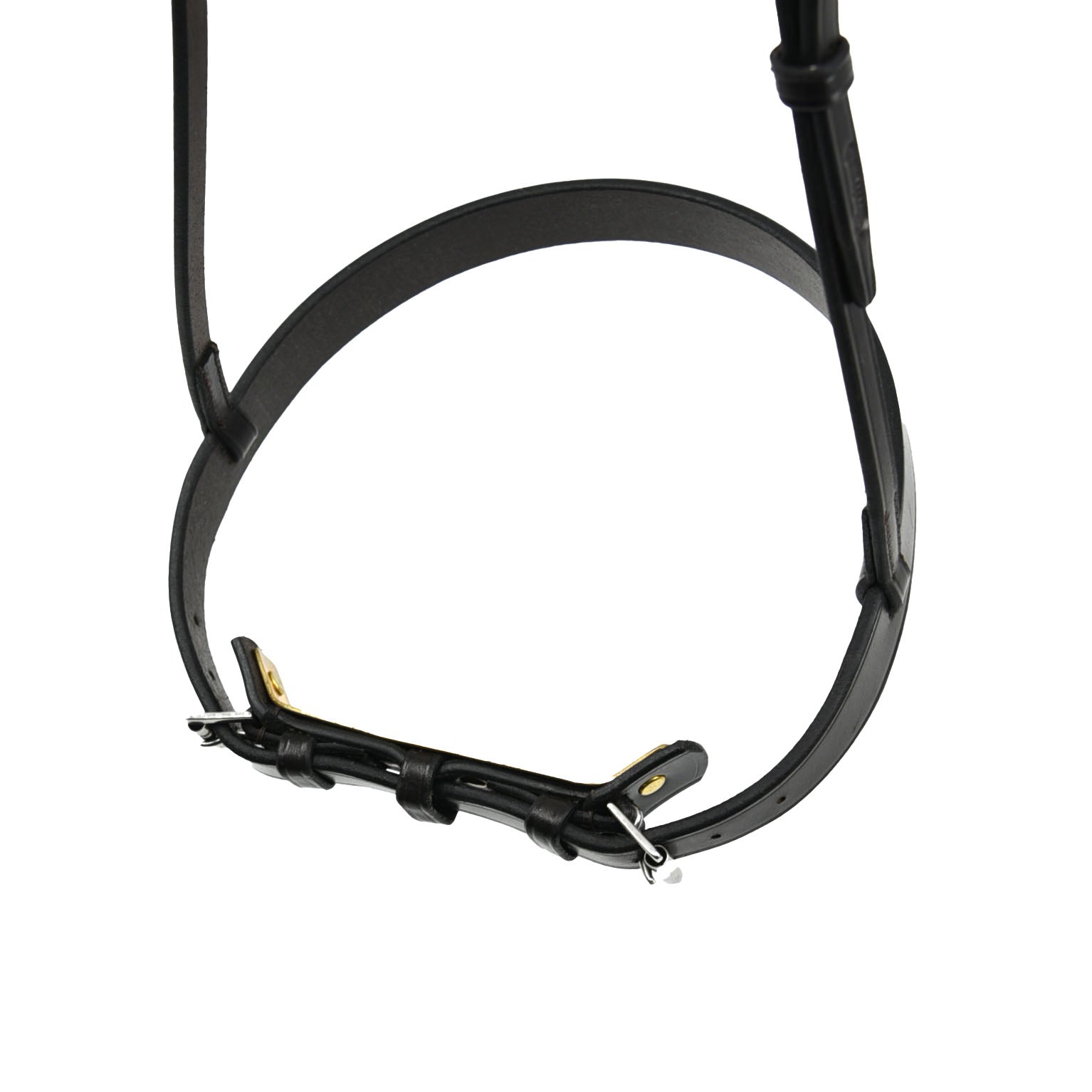 Close-up of Horse Caveson with Adjustable Chin Plate and Two Buckles
